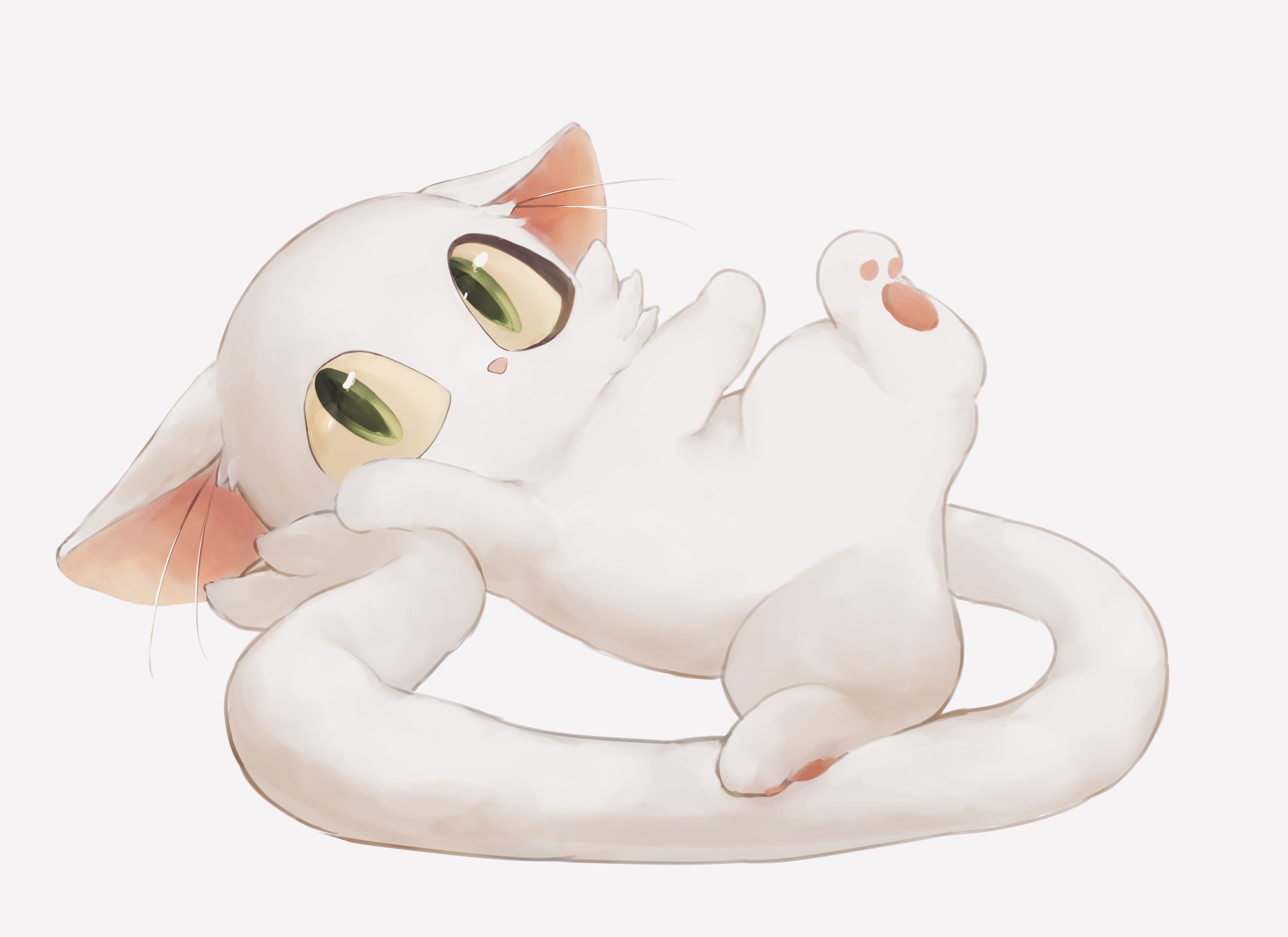 2932x2134 Suzume Cat Wallpaper