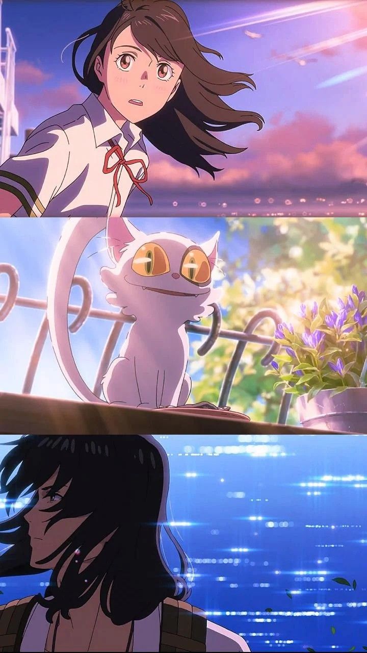 720x1280 Suzume