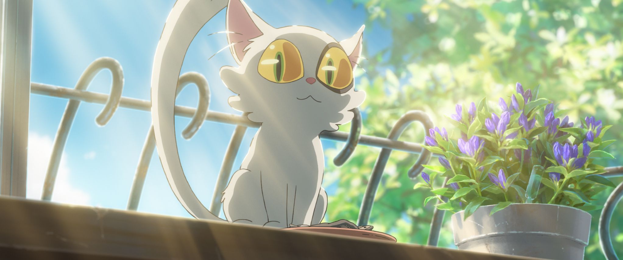 2045x854 Makoto Shinkai on Suzume: 'I'm at the peak of my career. My physical abilities are declining'