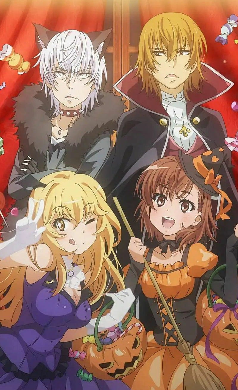 800x1312 To aru Halloween, accelerato, kakine teitoku, misaka last order, misaki, super, HD phone wallpaper