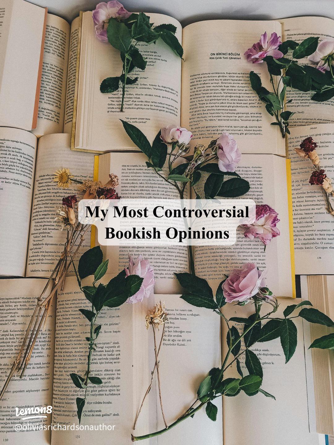1080x1440 Credence by Penelope Douglas: My Unpopular Opinion on This Controversial Booktok Read