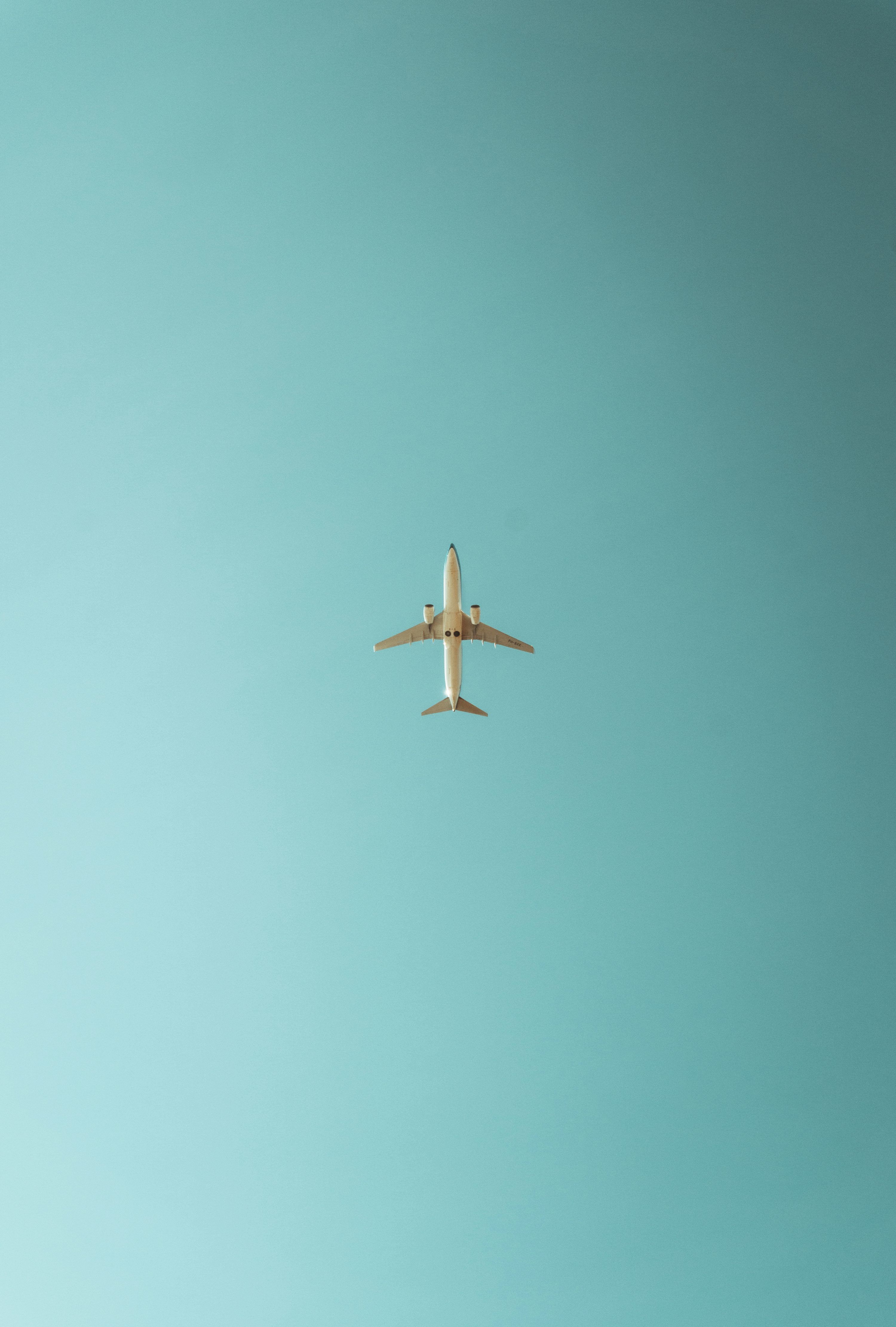 3000x4442 An airplane is flying in the blue sky photo