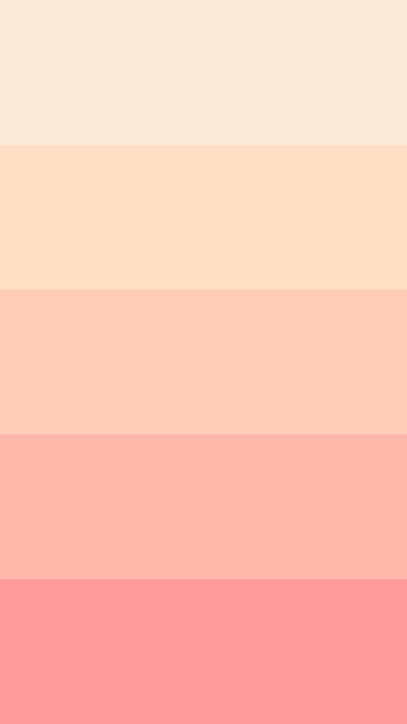 800x1422 Aesthetic Girly, Pink Shades, pink, shades, HD phone wallpaper