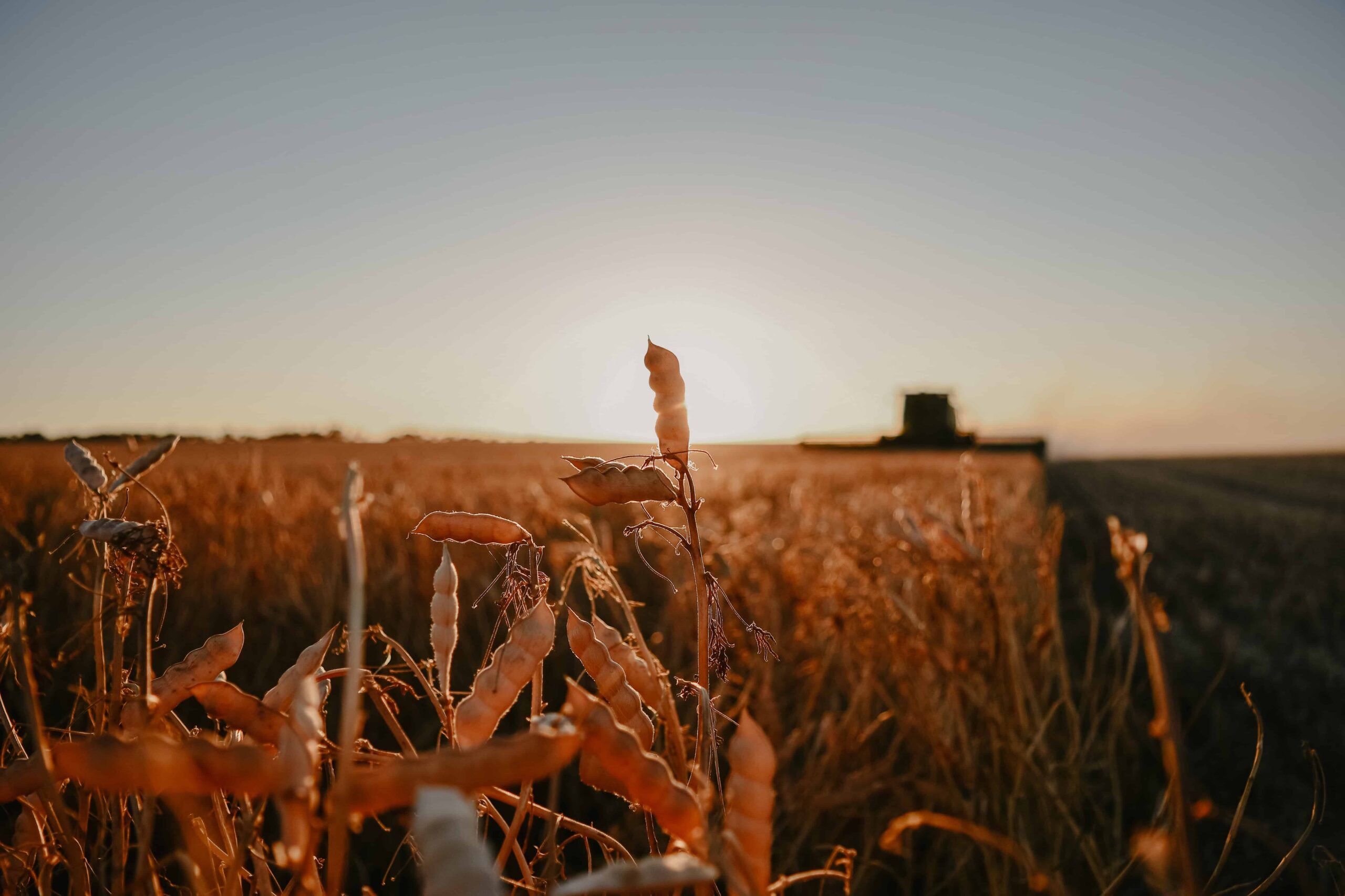 2560x1707 Australian Agricultural Sustainability Framework Farmers' Federation