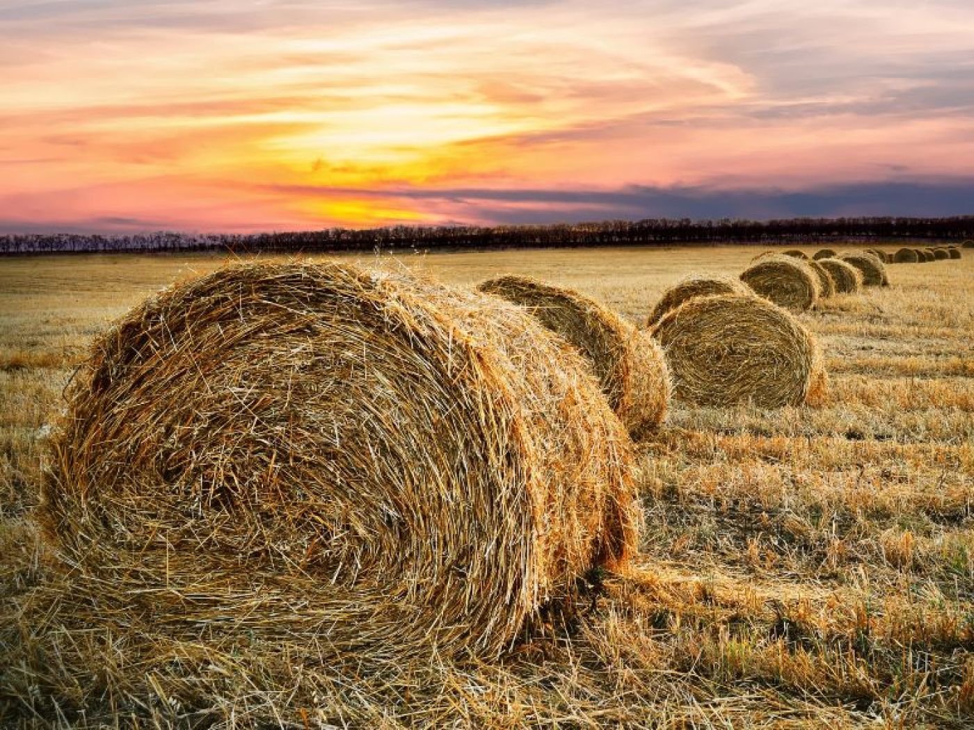 1400x1050 Farm Pack Insurance Berry Insurance Group