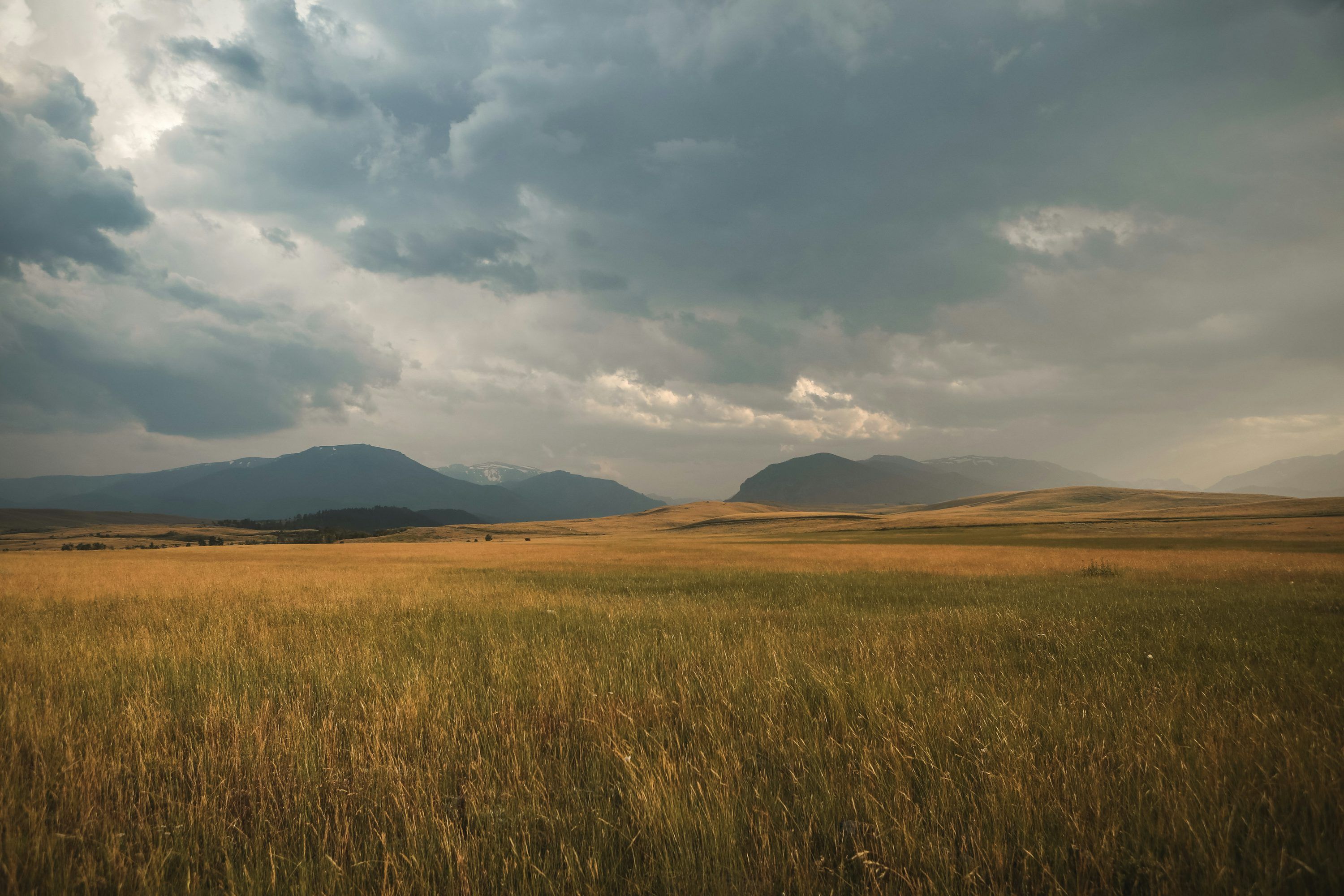 3000x2000 Field Wallpaper Picture. Download Free Image