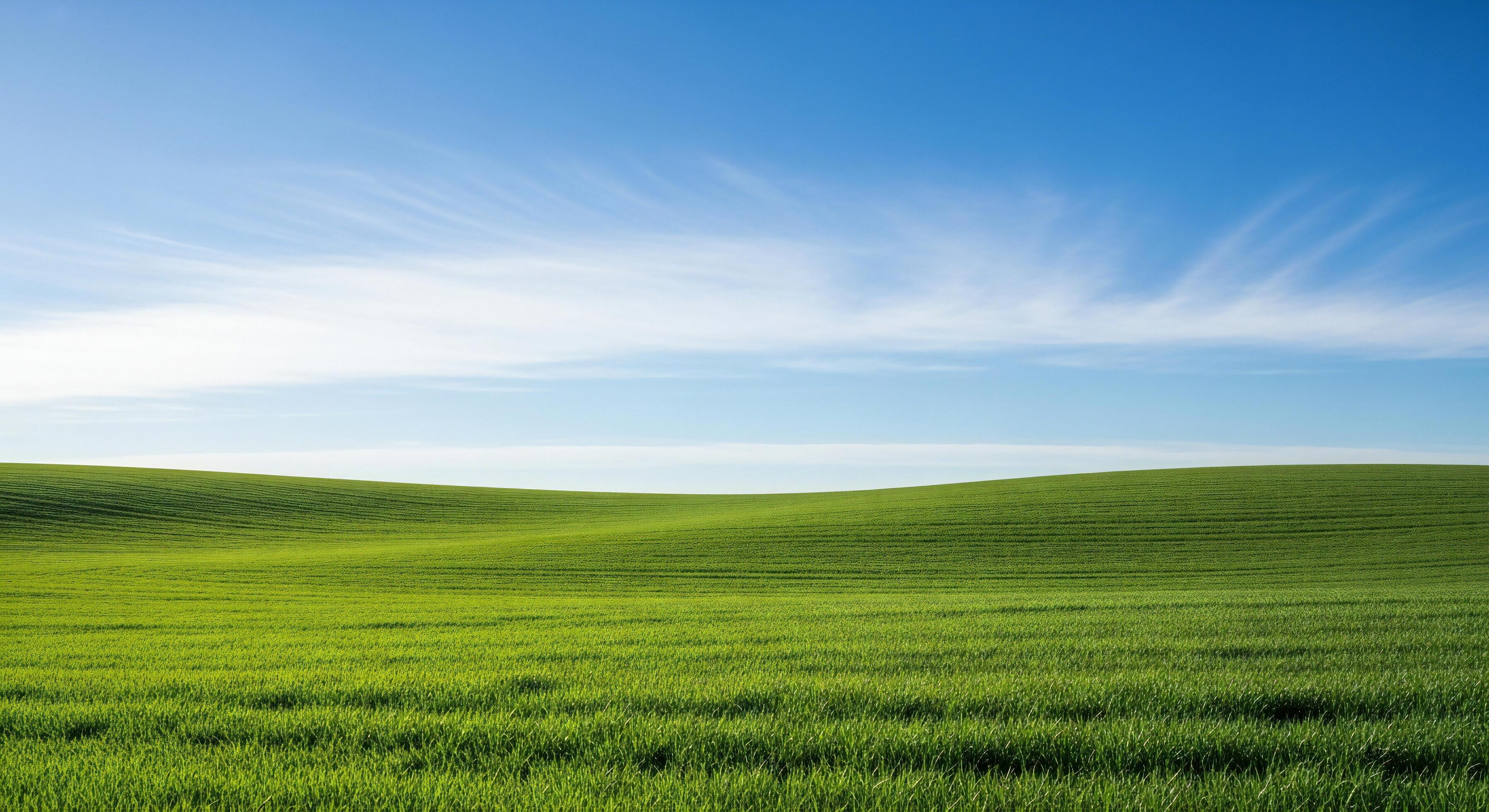 3593x1960 Nature background, Nature wallpaper, Rolling green fields under a bright blue sky with wispy clouds Nature background