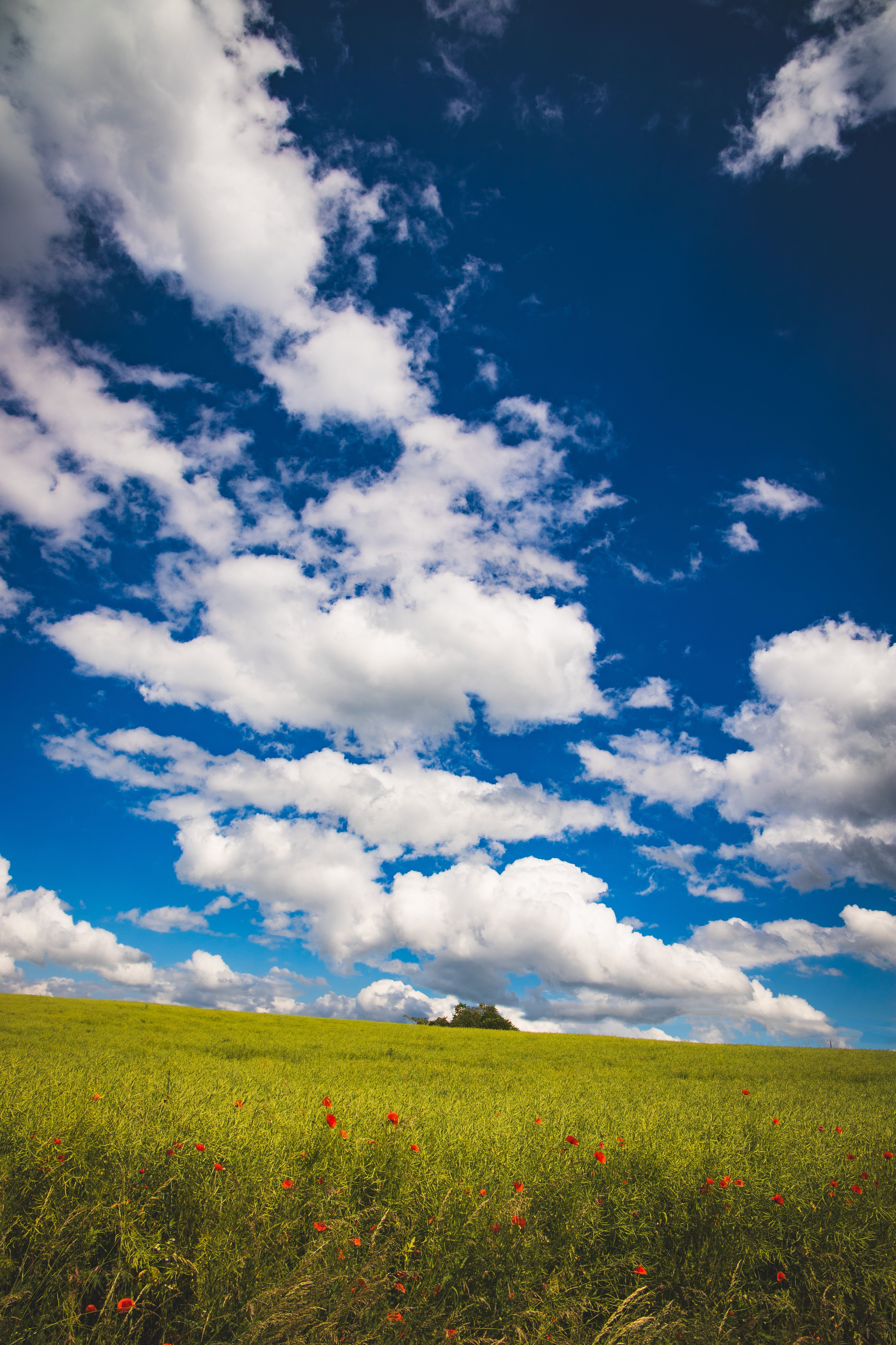 4160x6240 Sky Field Photo, Download The BEST Free Sky Field & HD Image