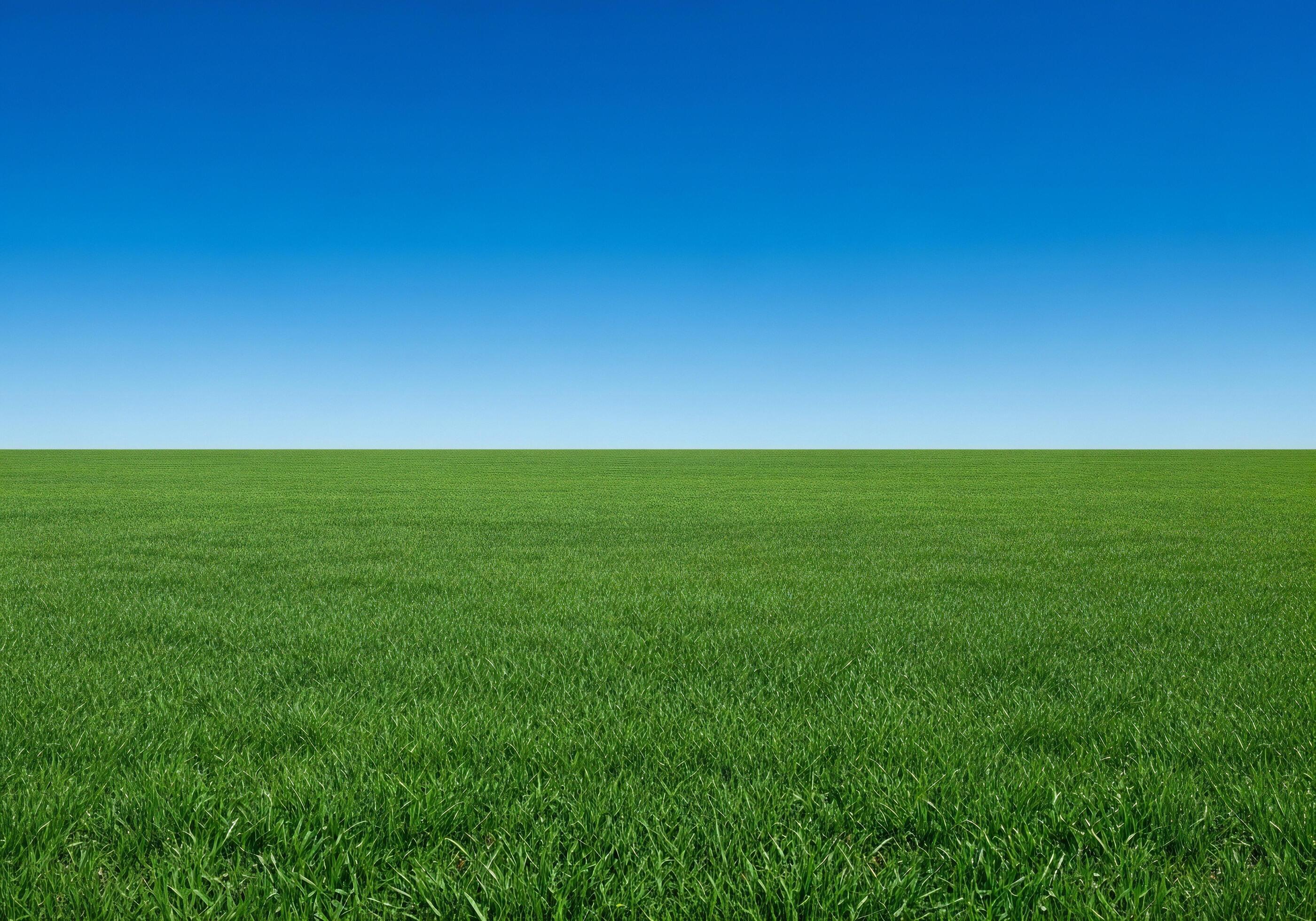 2800x1960 Nature background, Nature wallpaper, Expansive green grass field stretches toward the horizon under a vast clear blue sky