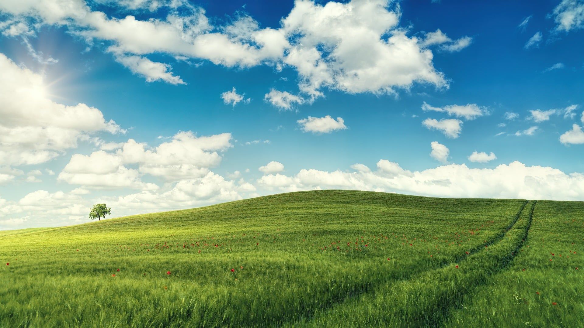 1920x1080 Blue sky above and green field below[1920x1080]