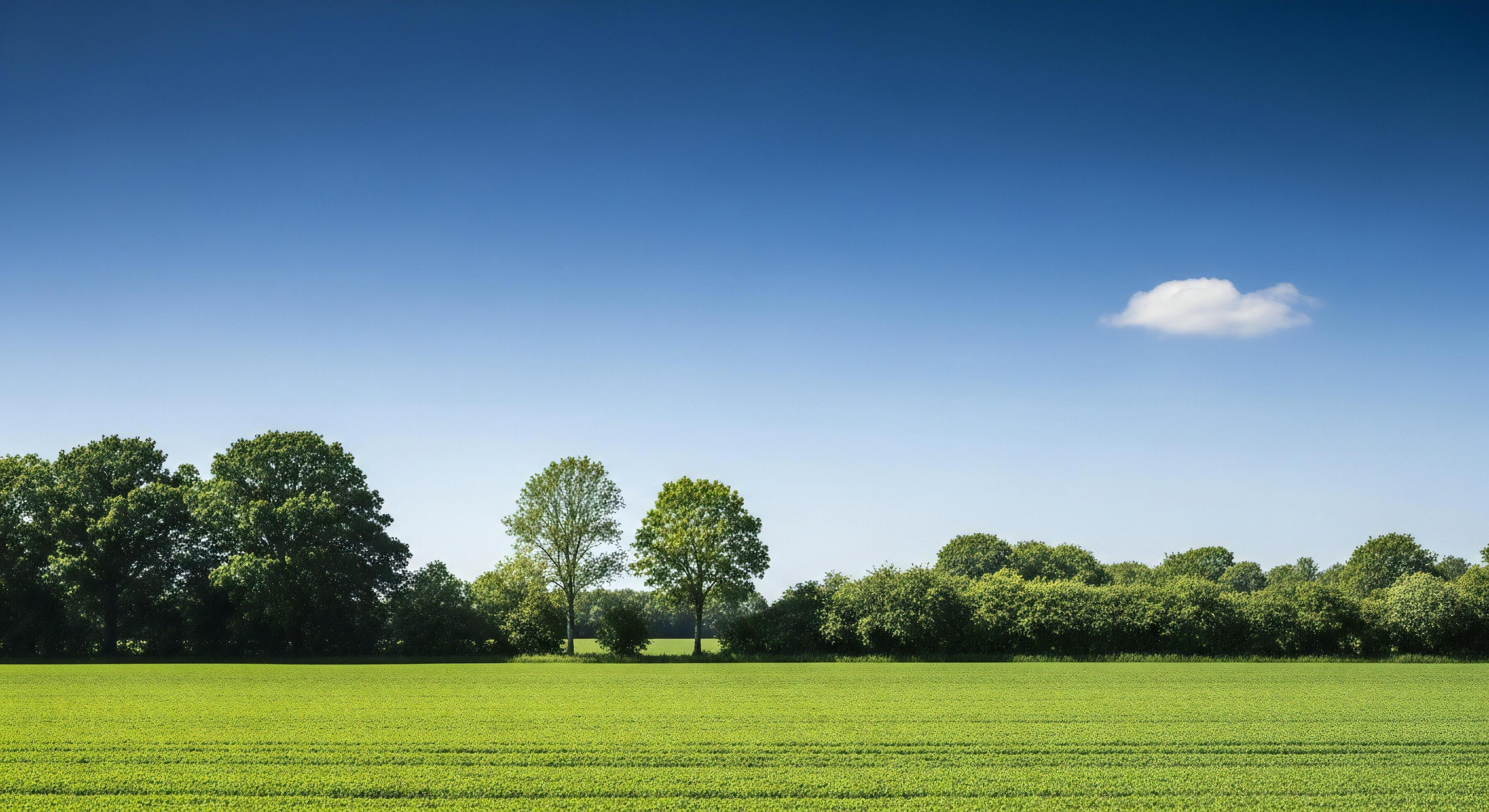 3593x1960 Nature background, Nature wallpaper, A lush green field under a clear blue sky with scattered trees and a single white cloud