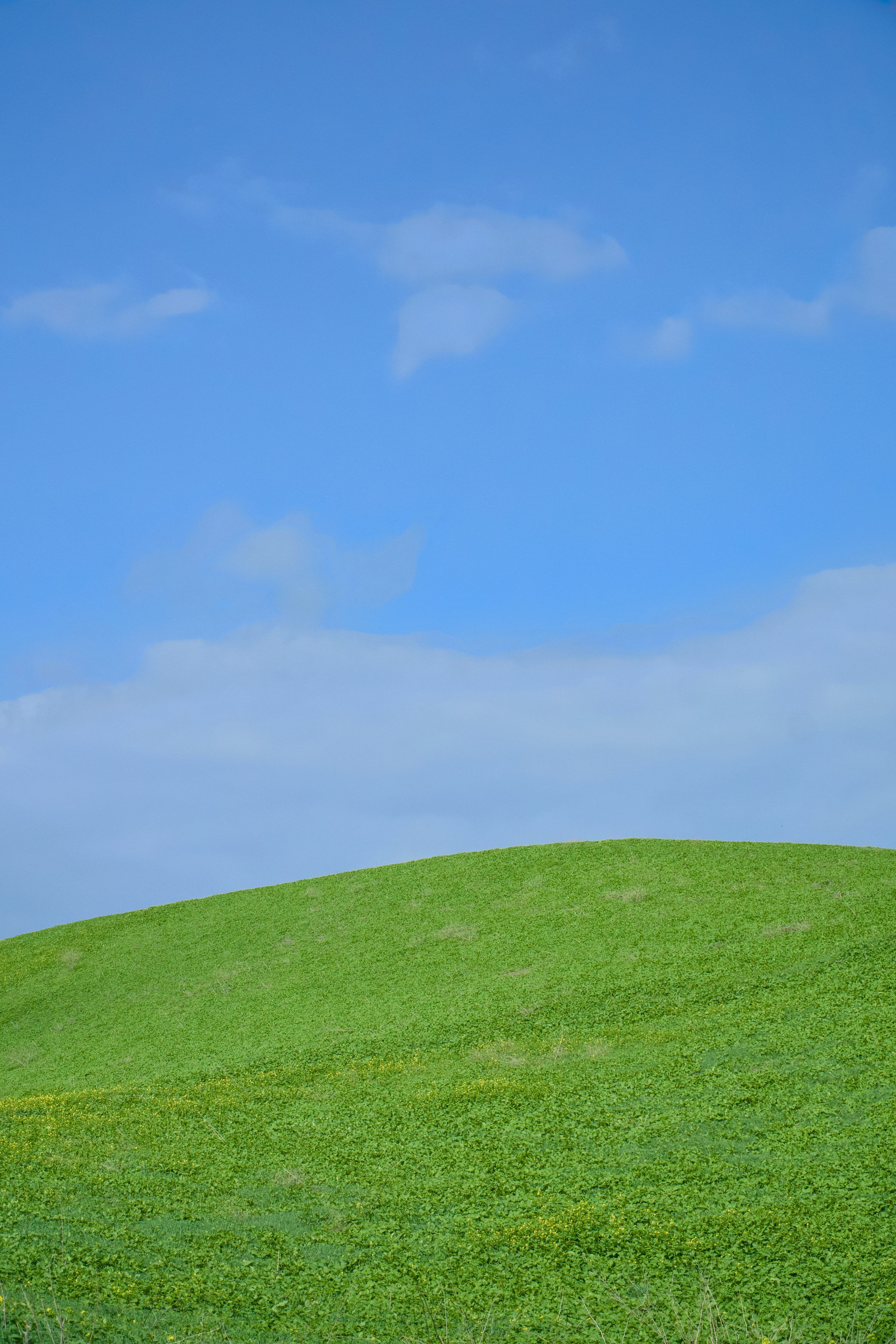 3000x4500 A green hill underneath a blue sky. photo