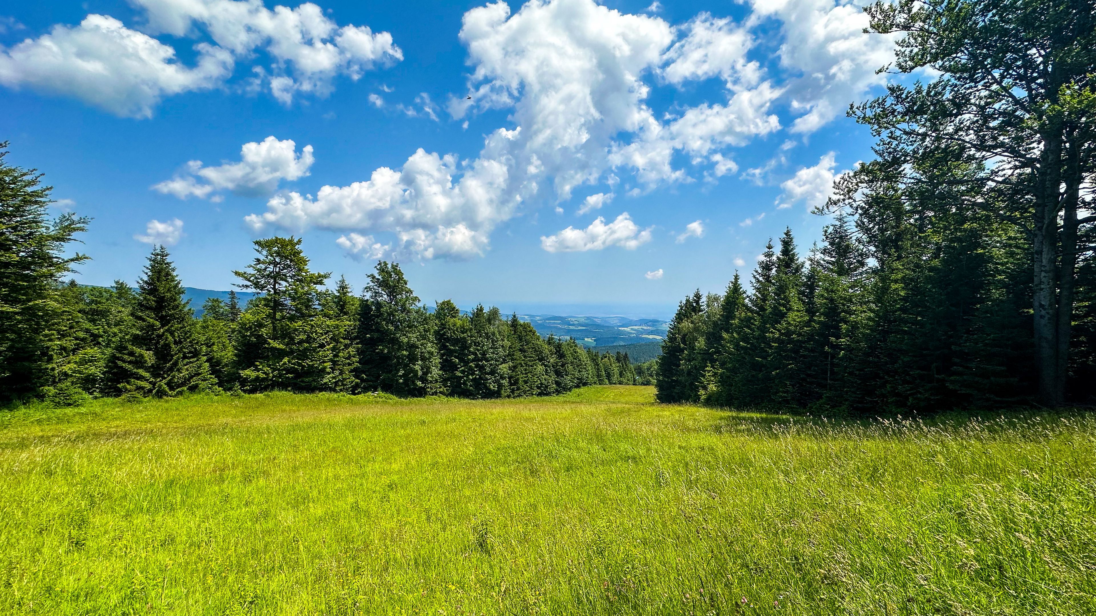 3840x2160 clouds grass, field, trees blue sky, nature wallpaper, background 4K HD Nature Wallpaper