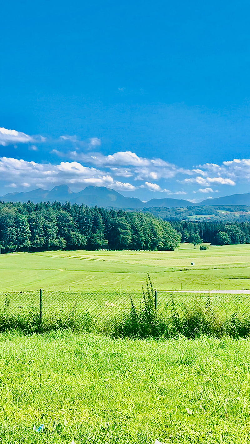 800x1422 Green Fresh Spring, blue sky, clouds, earth, grass, landscape, lovely landscape, HD phone wallpaper