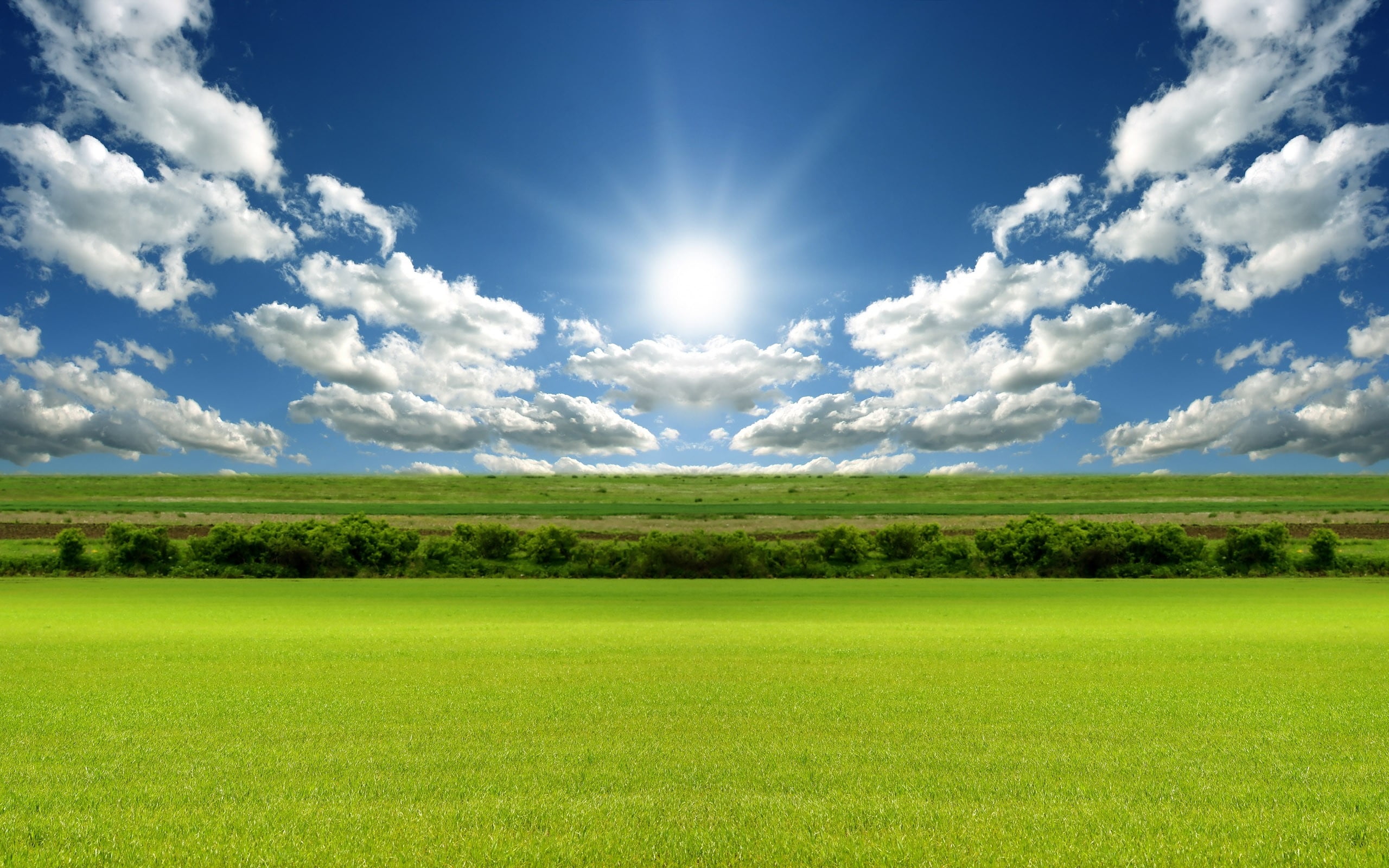 2560x1600 Landscape photography of green grass field under white clouds and blue sky during daytime HD wallpaper