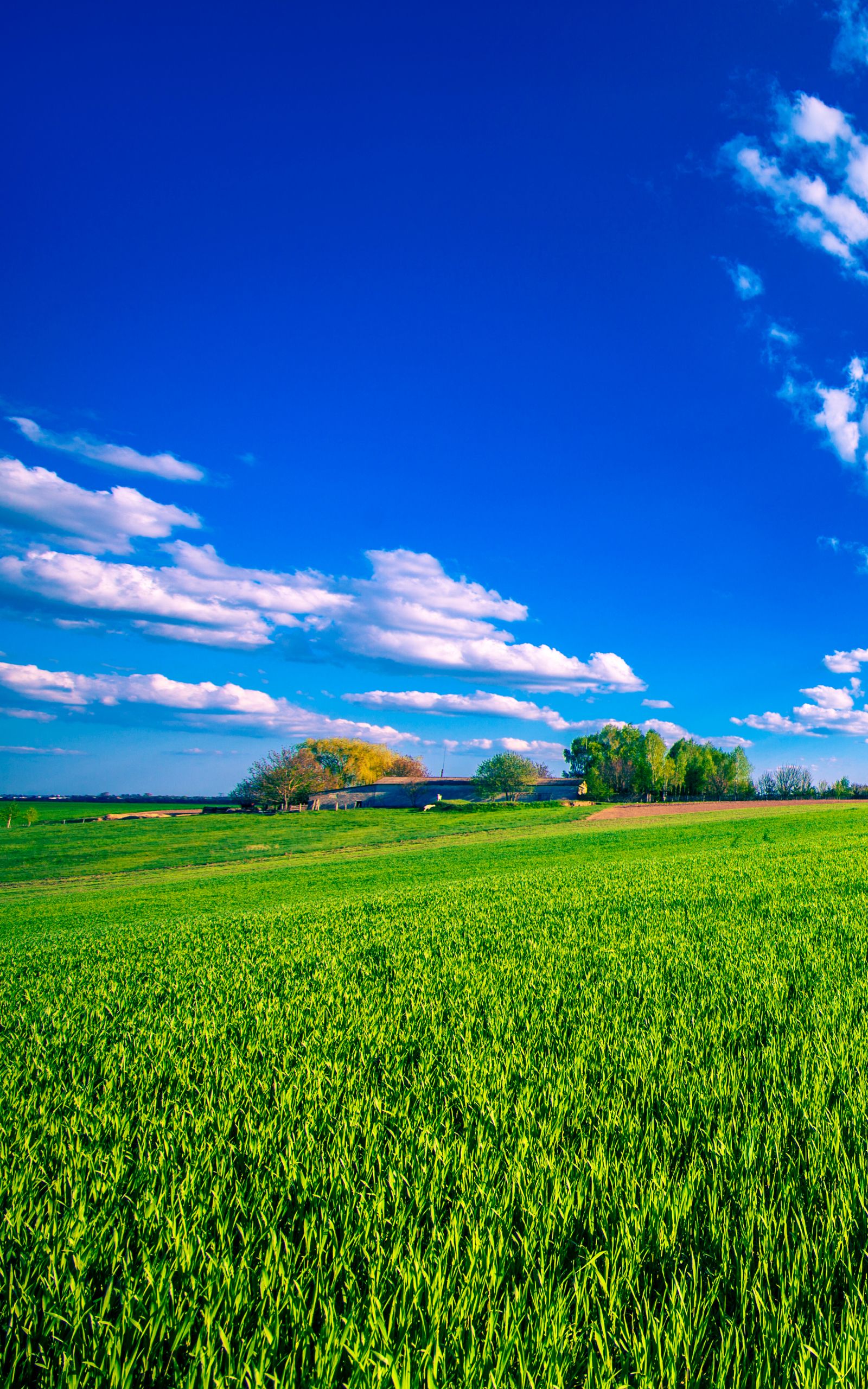 1600x2560 Phone wallpaper: Field, Summer, Photography, Landscape, Dirt Road, Nature, Cloud, Sky 1312571