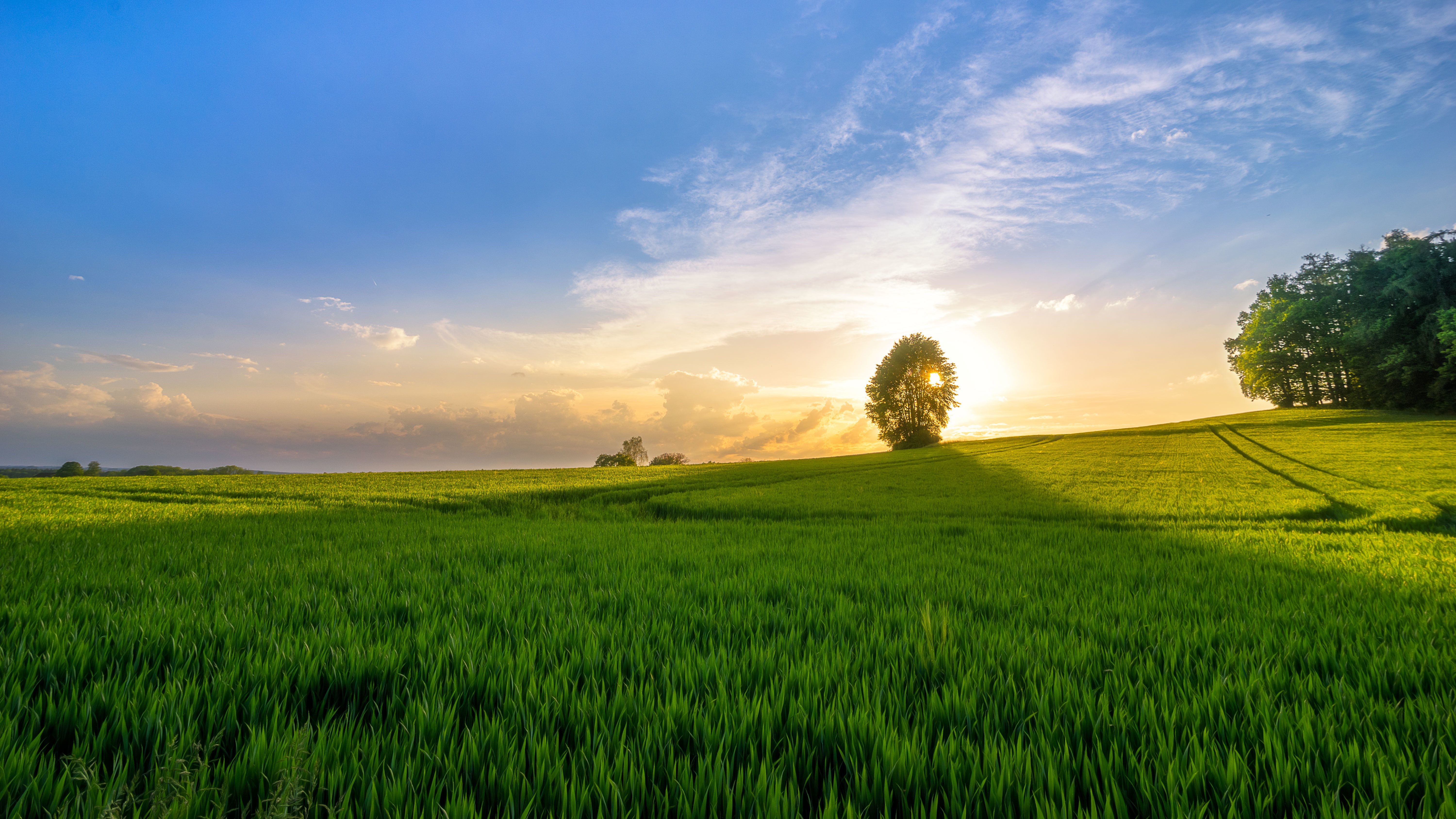 6000x3375 Wallpaper Green Grass Field Under Blue Sky During Daytime, Background Free Image