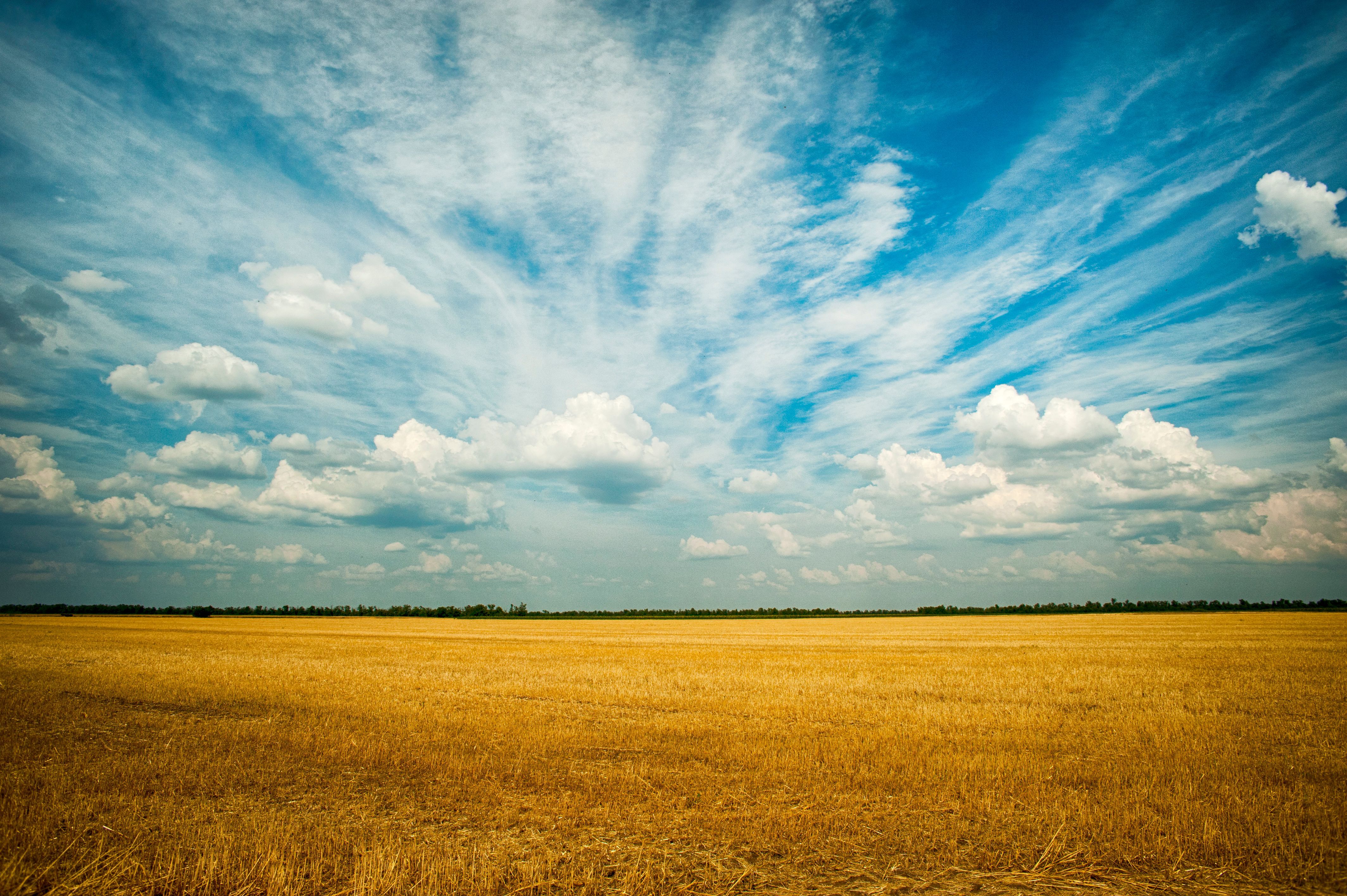 4256x2832 Photo Of Grass Field · Free