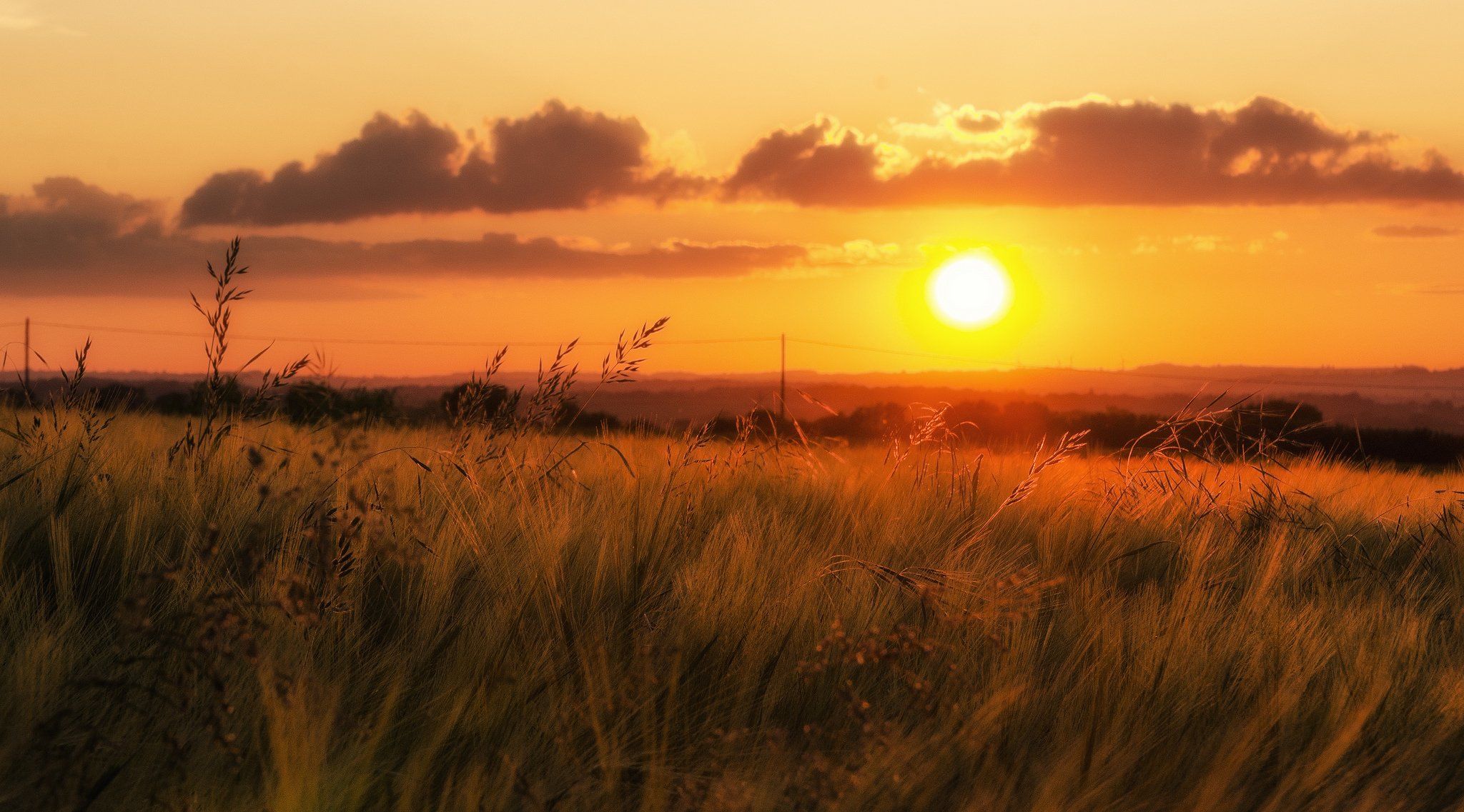 2048x1137 beautiful, Nature, Grass, Sunset, Field, Sky Wallpaper HD / Desktop and Mobile Background
