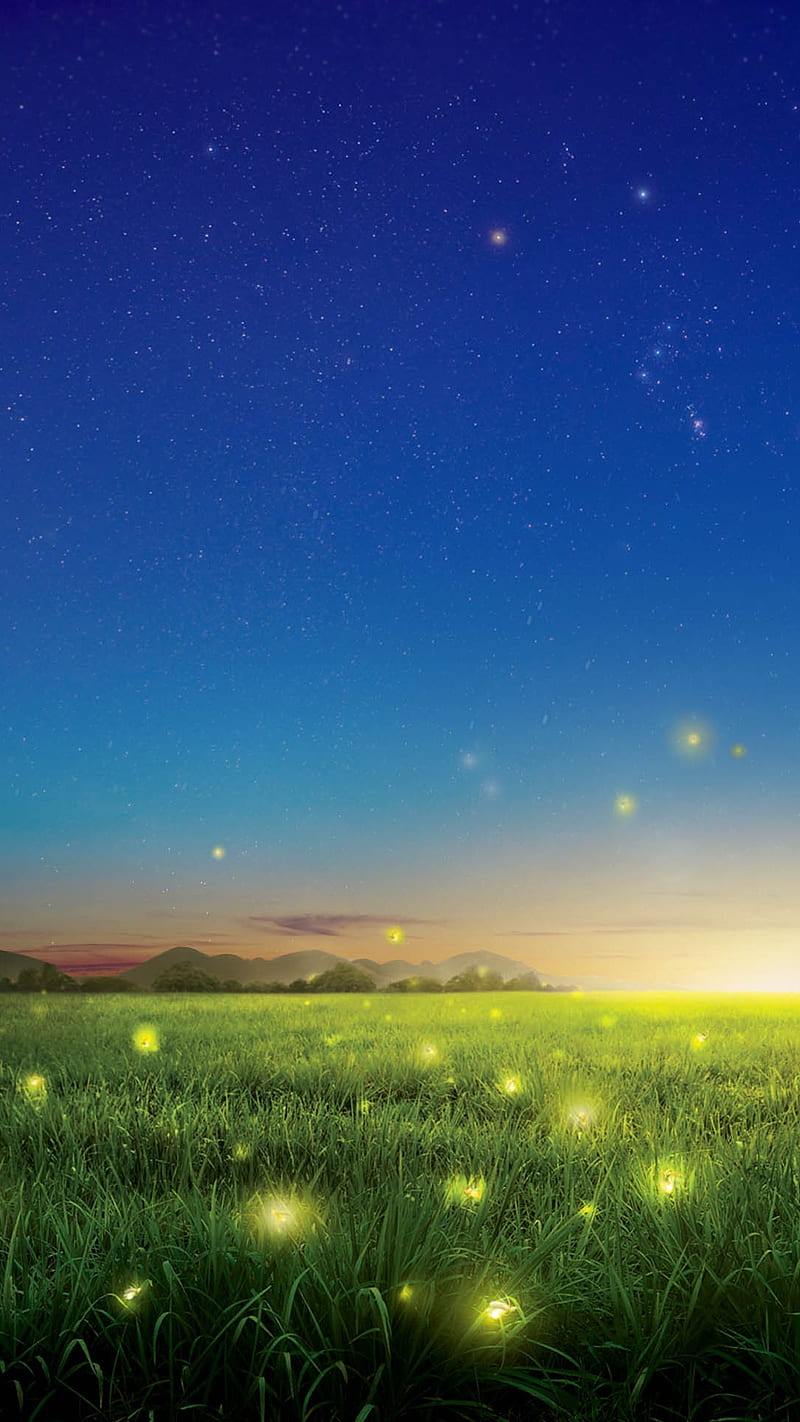 800x1422 Field, beautiful view, grass, hills, landscape, nature, sky, HD phone wallpaper