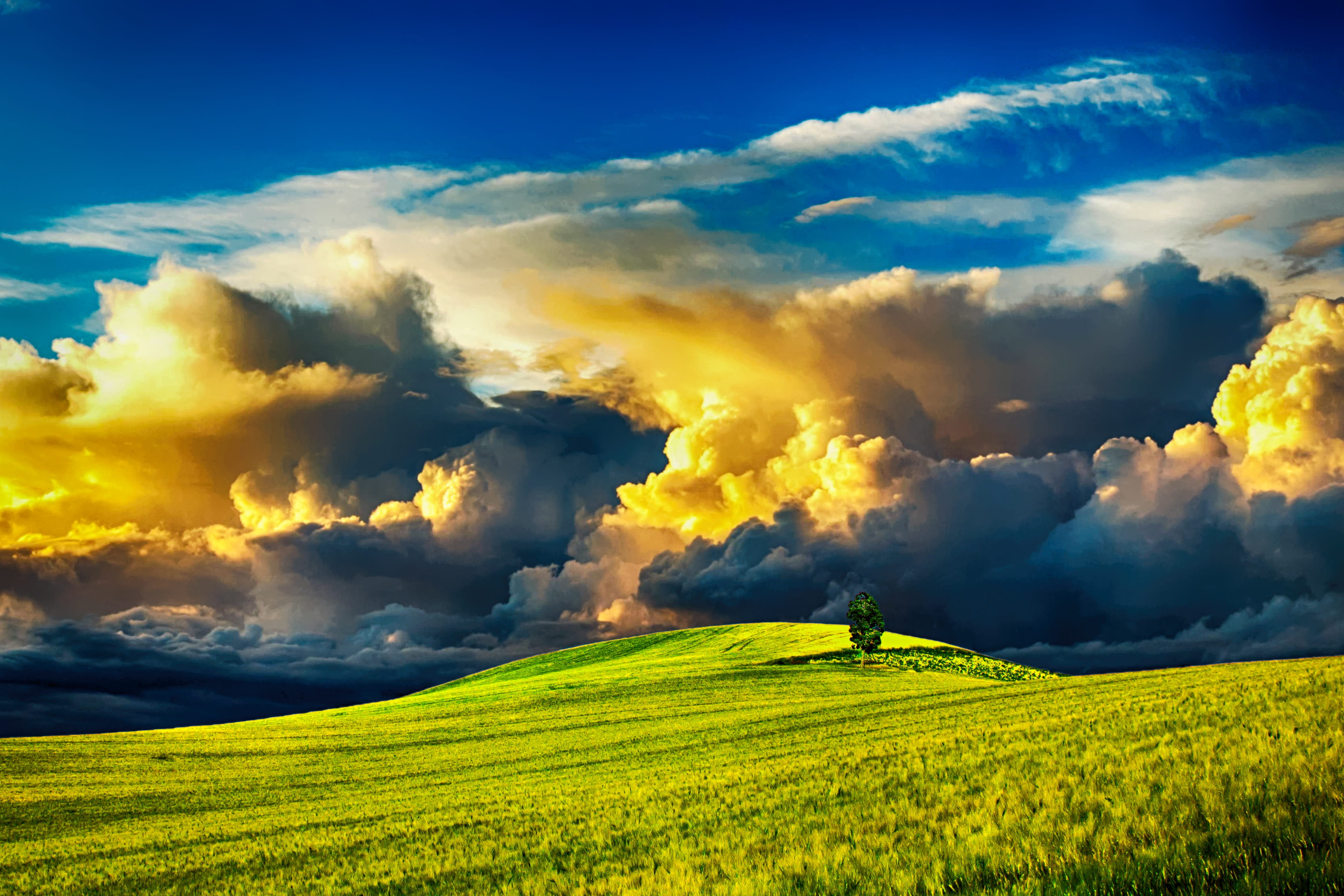 4211x2807 Royalty Free Photo: Photography Of Grass Field With Clouds As Background