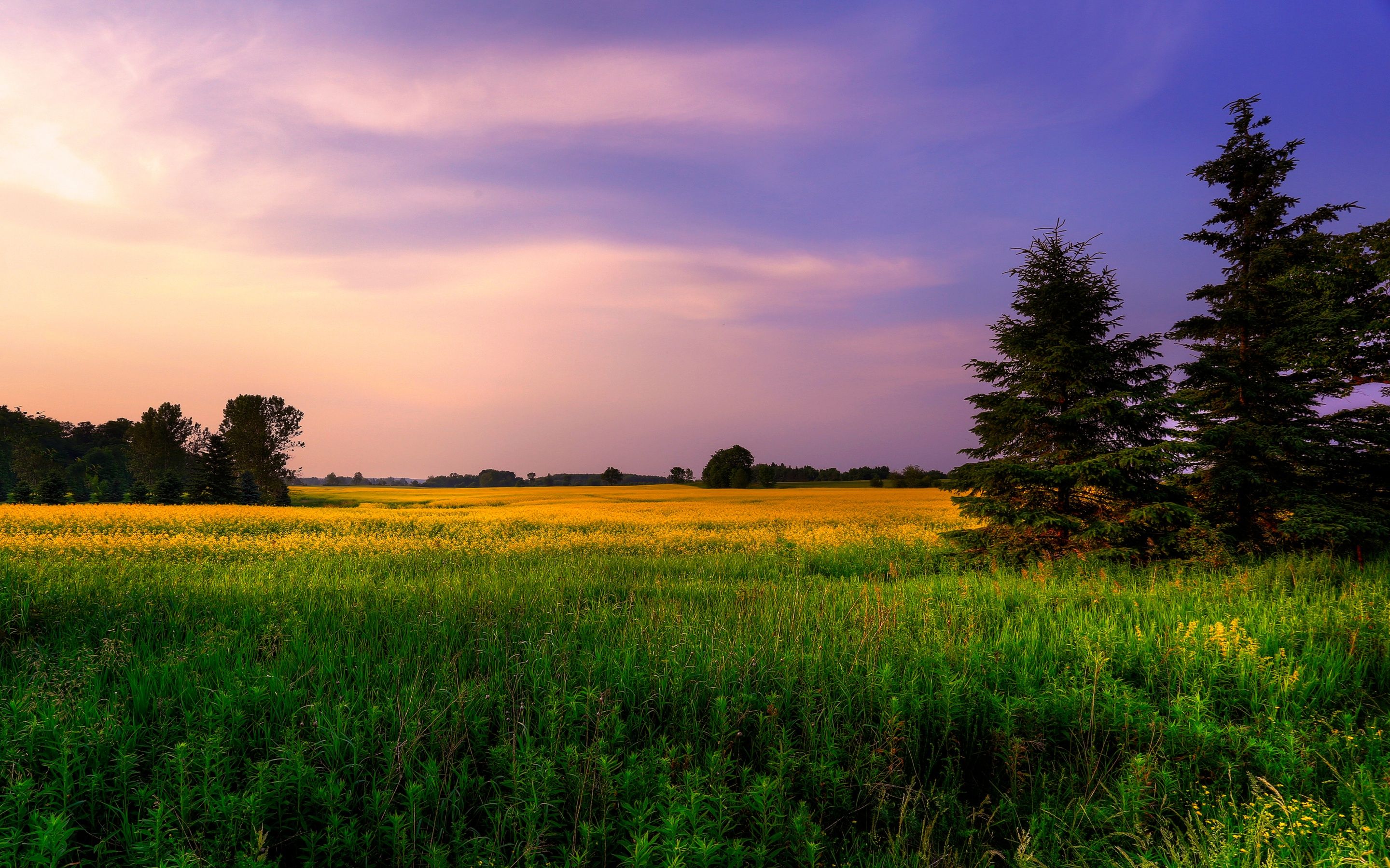 2880x1800 Farm Land Wallpaper 4K, Green Fields, Purple sky