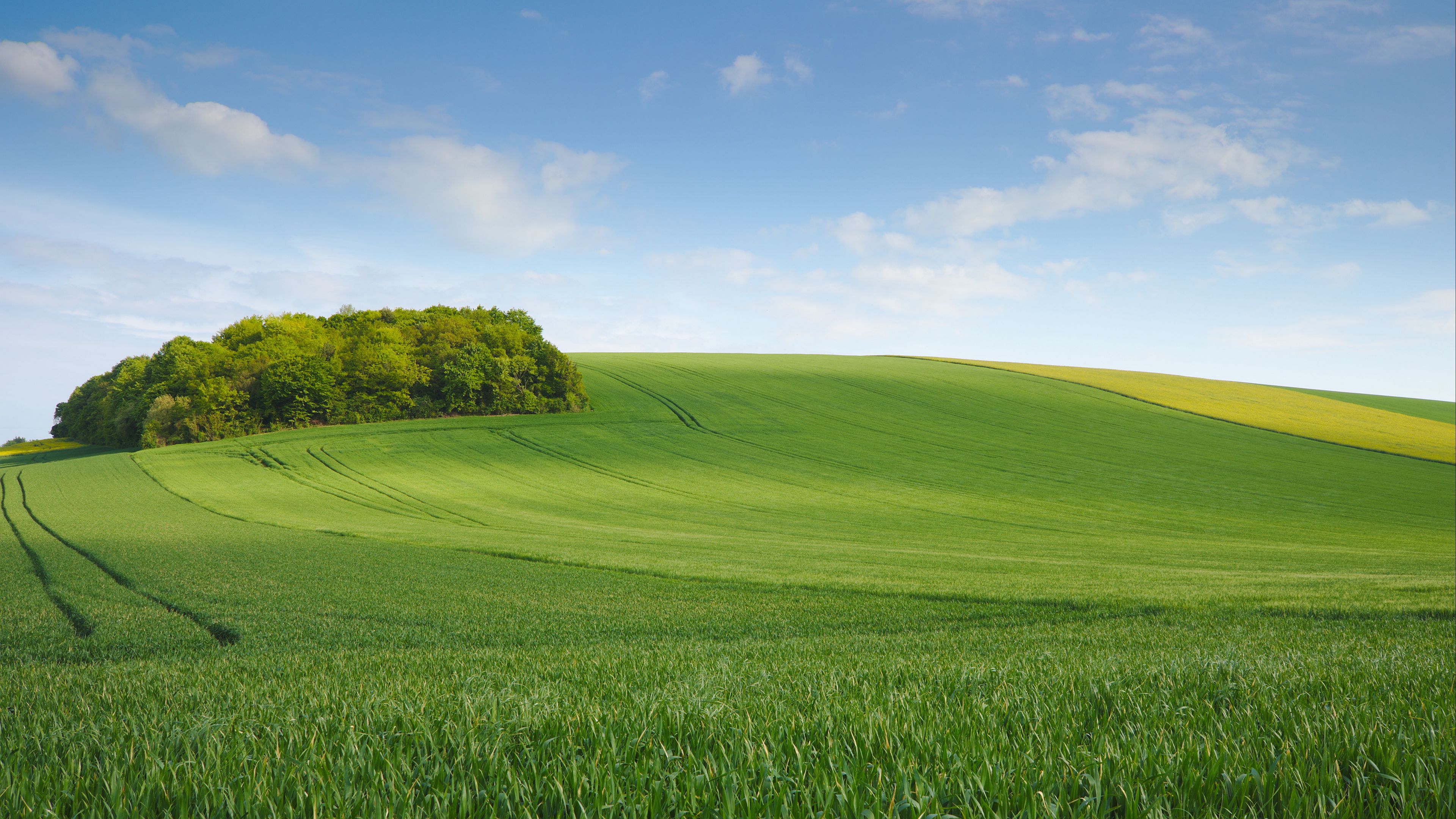 3840x2160 Field Meadow Hill Sky Minimalism 4K HD Wallpaper