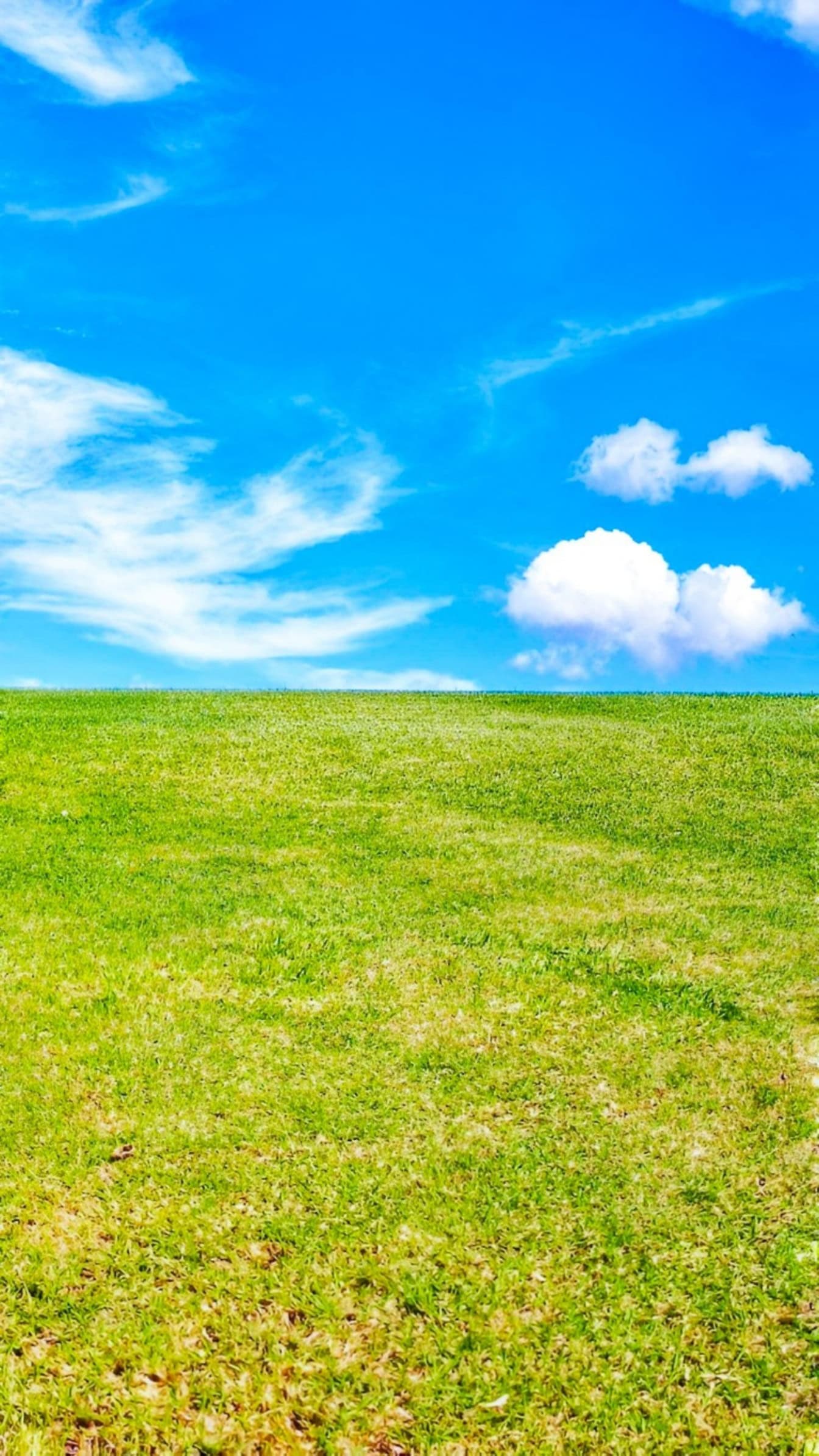 1344x2389 Free picture: A flat green field with short grass under a blue sky with clouds