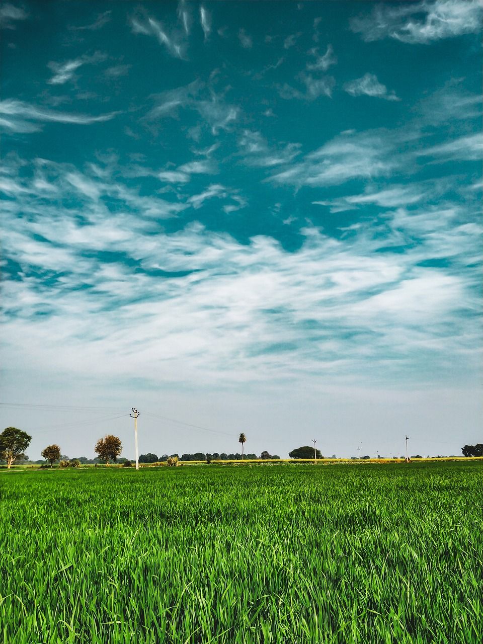 960x1280 Download free photo of Scenic, clouds, blue sky, HD wallpaper, field
