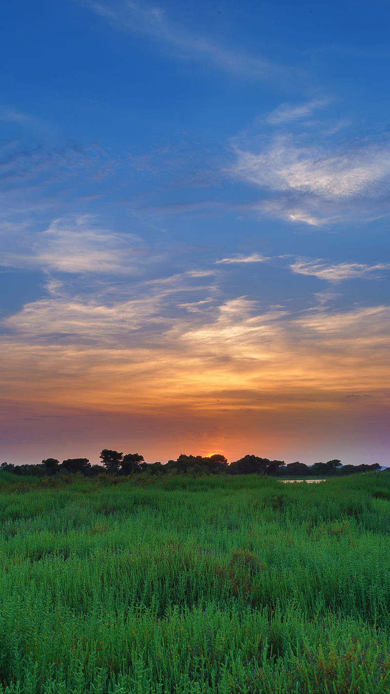 800x1422 Sunset, field, grass, landscape, nature, sky, HD phone wallpaper