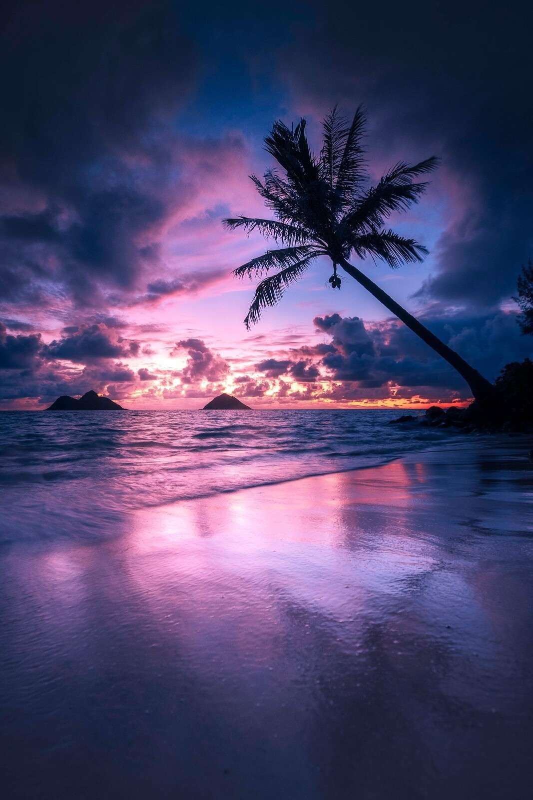 1067x1600 Wall Mural at purple sunset