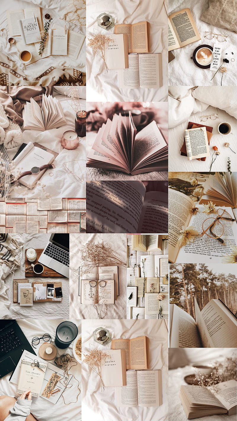 800x1422 Books, aesthetics, reading, HD phone wallpaper