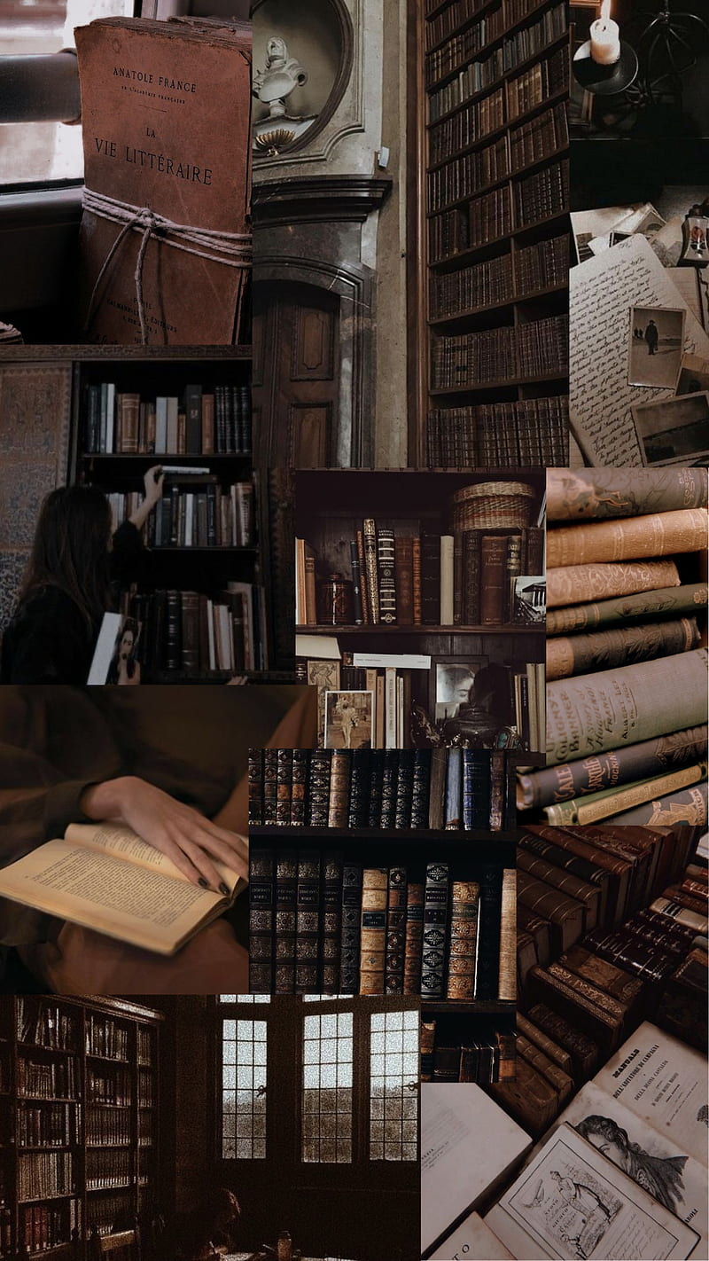 800x1422 Books aesthetic, HD phone wallpaper