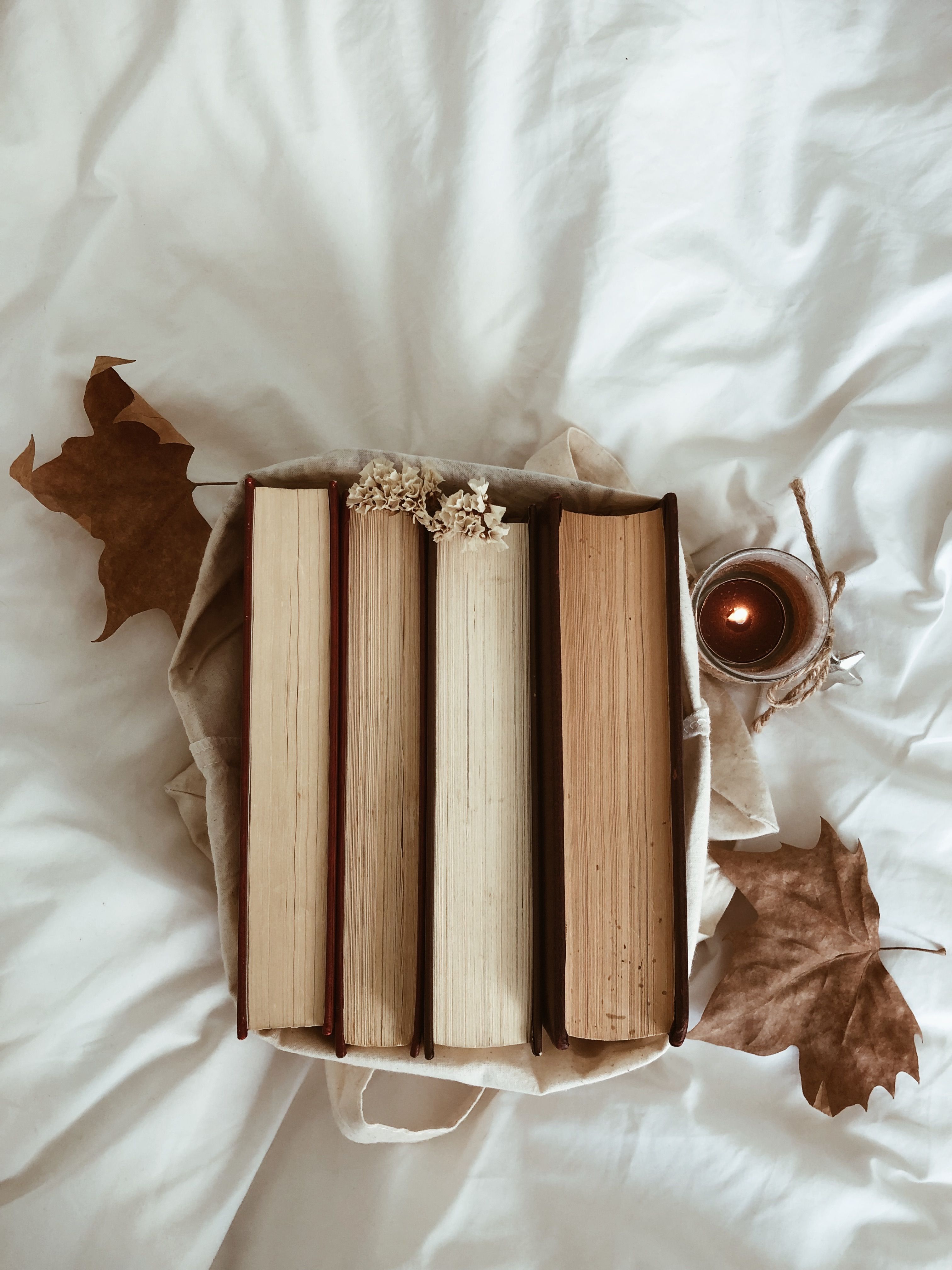 3024x4032 Book Aesthetic Photo, Download The BEST Free Book Aesthetic & HD Image