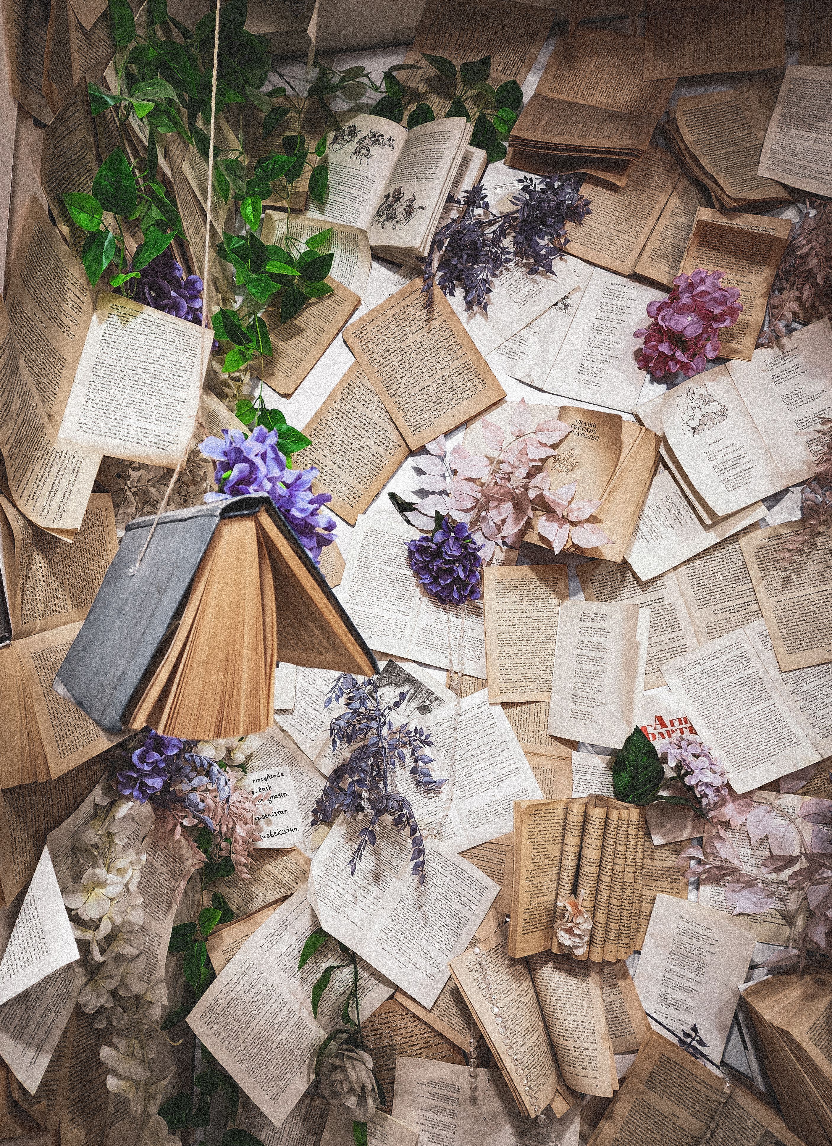 2813x3874 Literature Theme Photo, Download The BEST Free Literature Theme & HD Image
