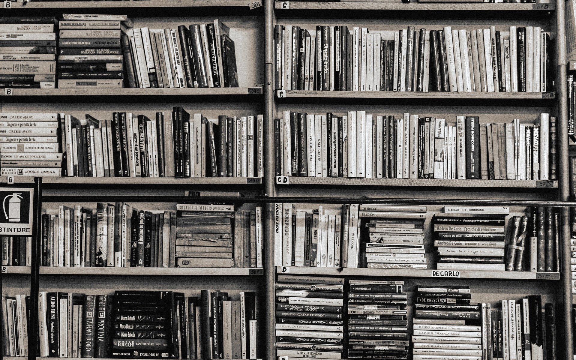 1920x1200 HD Wallpaper: A World Of Books On Man Made Shelvesx1200