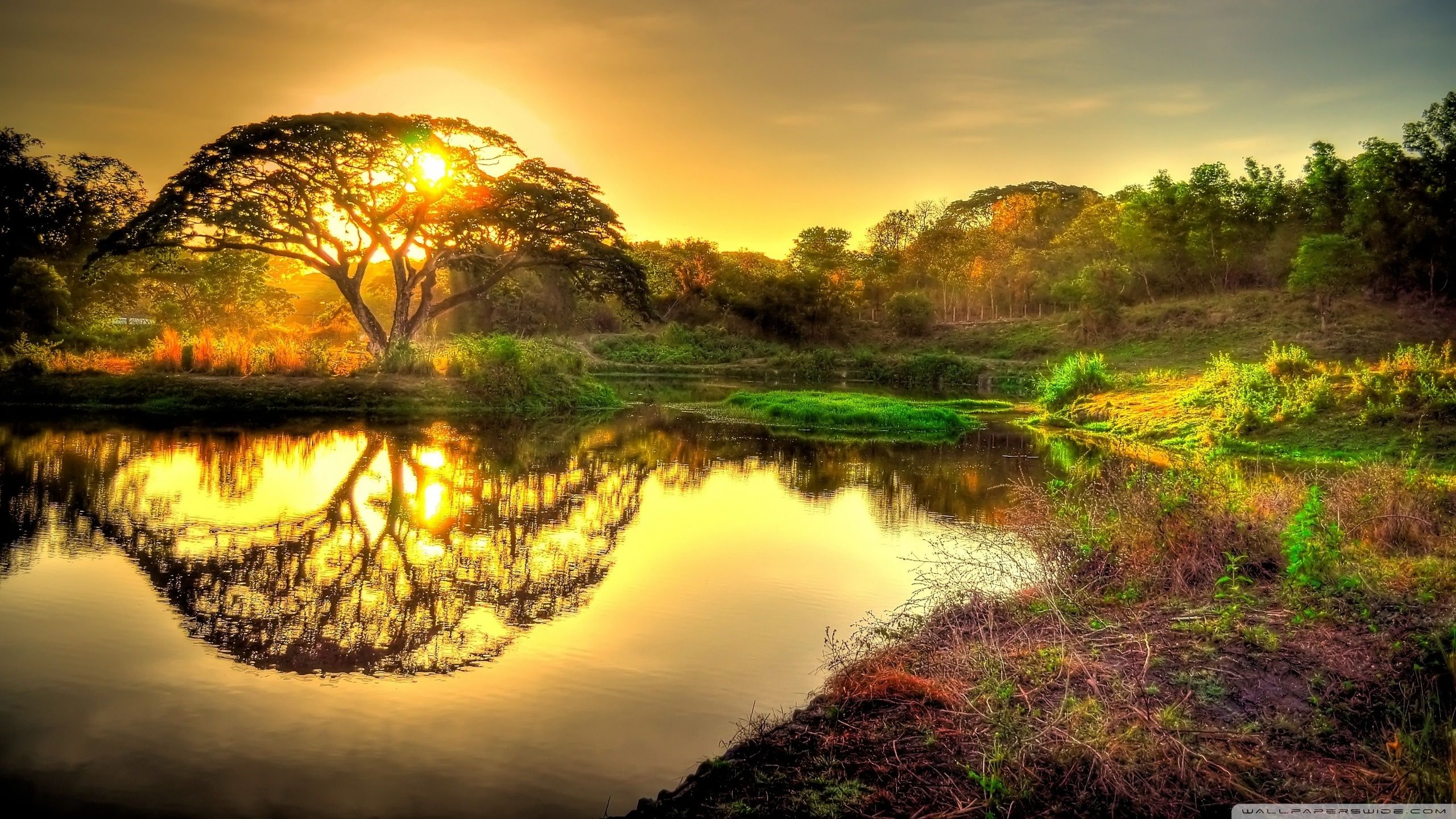 2560x1440 Wild Sunrise HDR 4K UHD Wallpaper for UltraHD Desktop and TV : Widescreen and UltraWide Display : Dual Monitor : Smartphone and Tablet Devices
