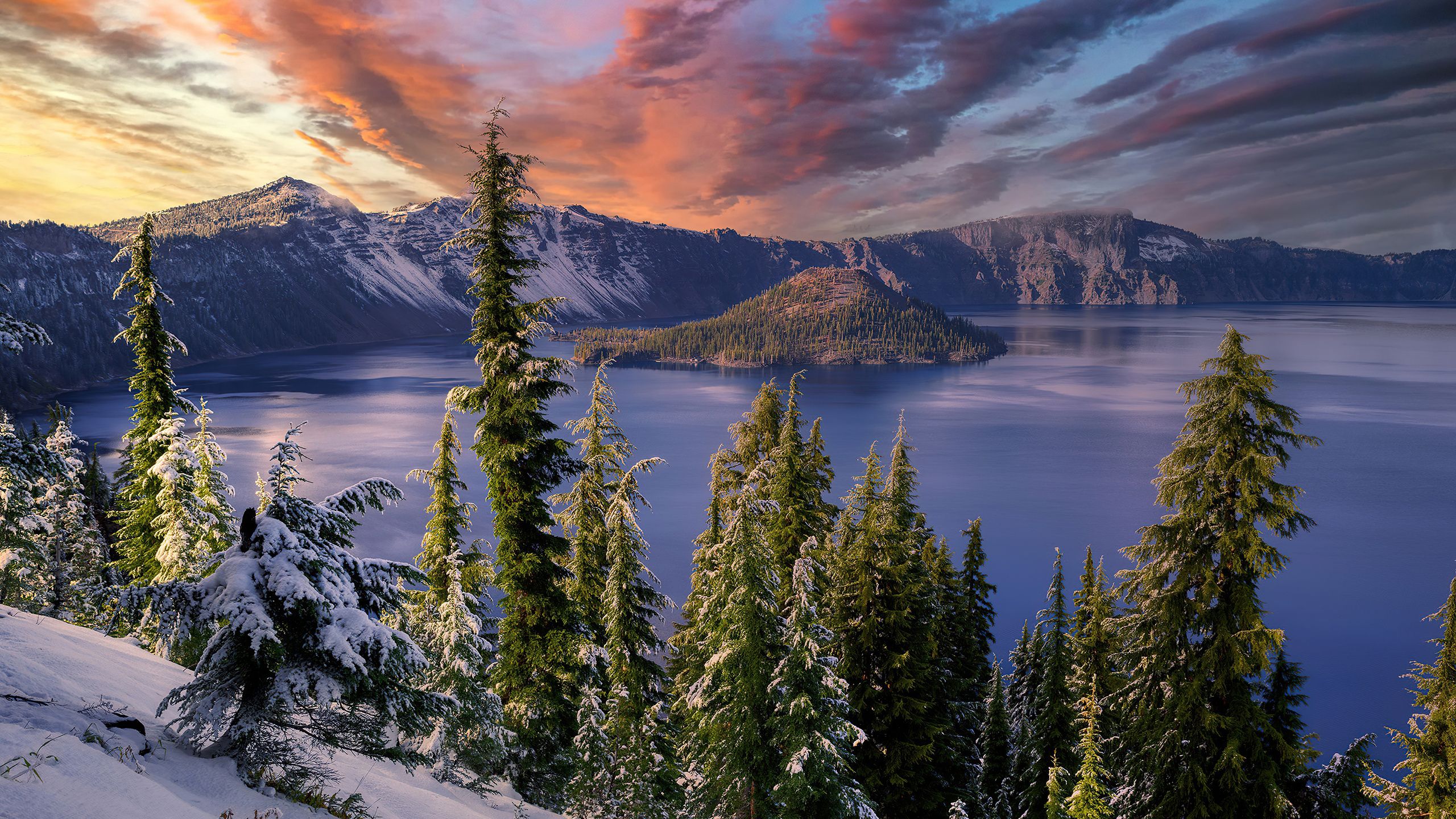 2560x1440 Winter Snow Trees Mountains Landscape Hdr 4k 1440P Resolution , HD 4k Wallpaper, Image, Background, Photos and Picture