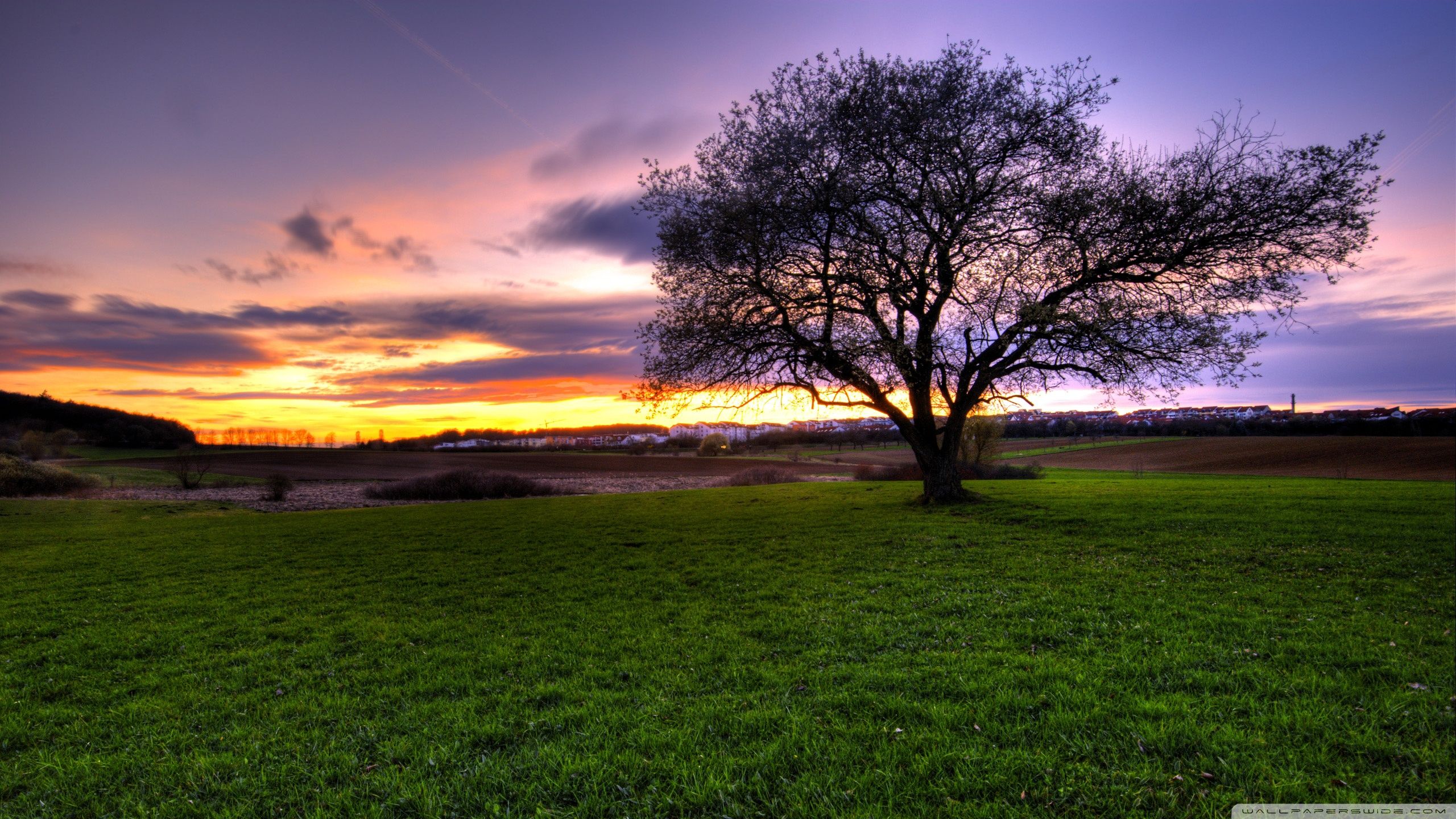 2560x1440 HDR Landscape 4K UHD Wallpaper for UltraHD Desktop and TV : Dual Monitor : Smartphone and Tablet Devices