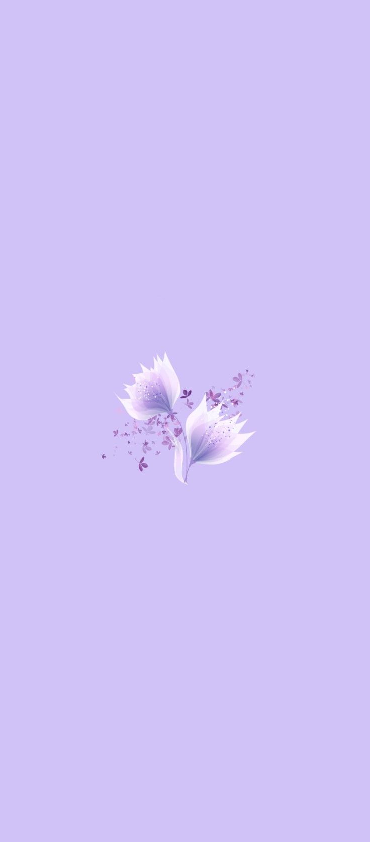 736x1673 Lilac Wallpaper
