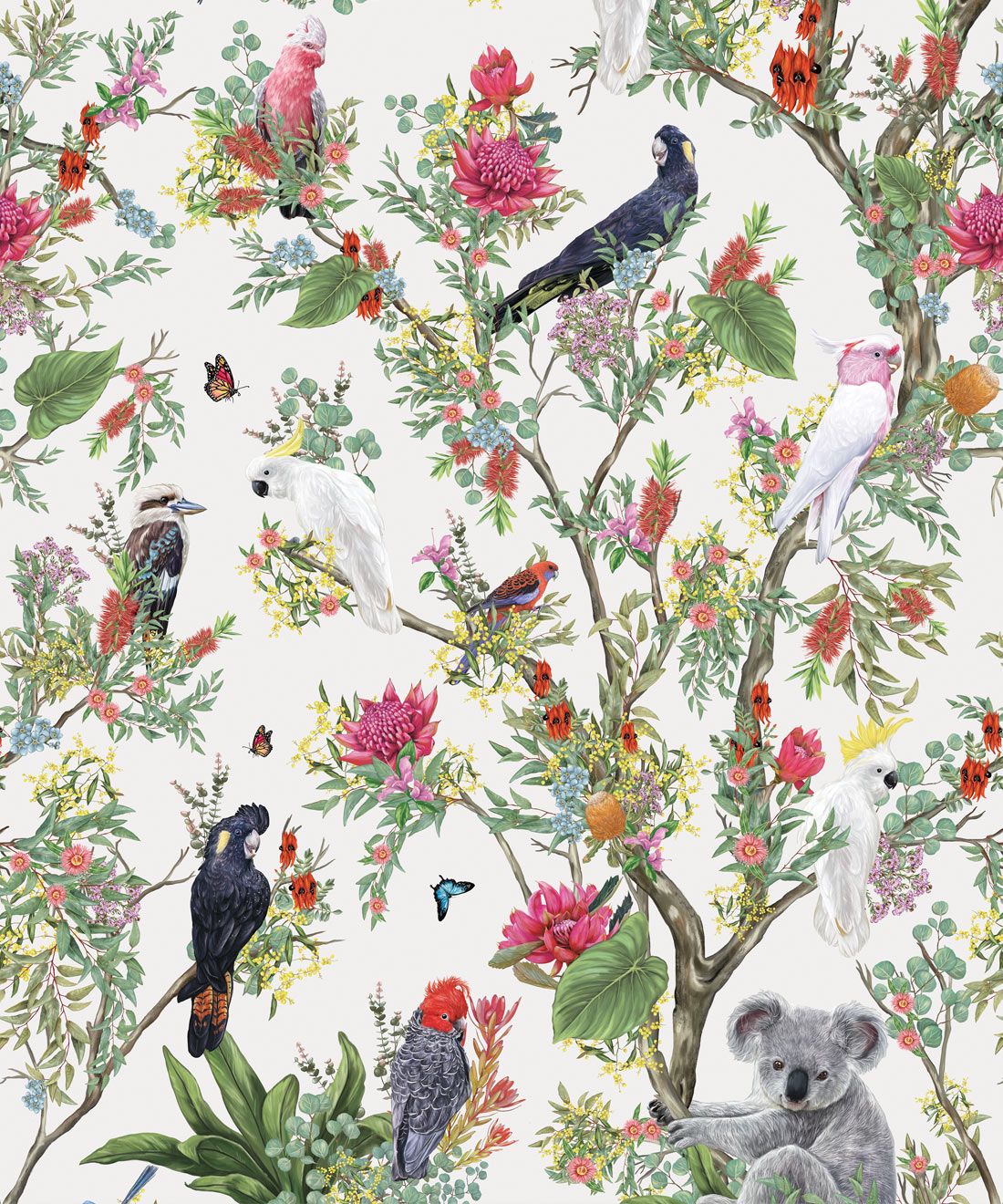 1100x1320 Australia Wallpaper • Koalas and Cockatoos USA