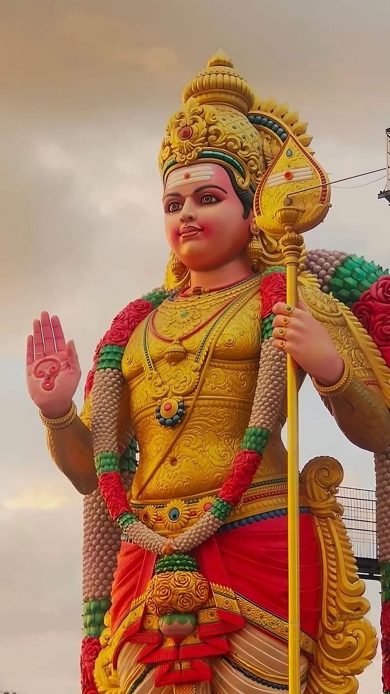 800x1422 Lord Murugan, Golden Statue, god, lord, kartikeya, HD phone wallpaper
