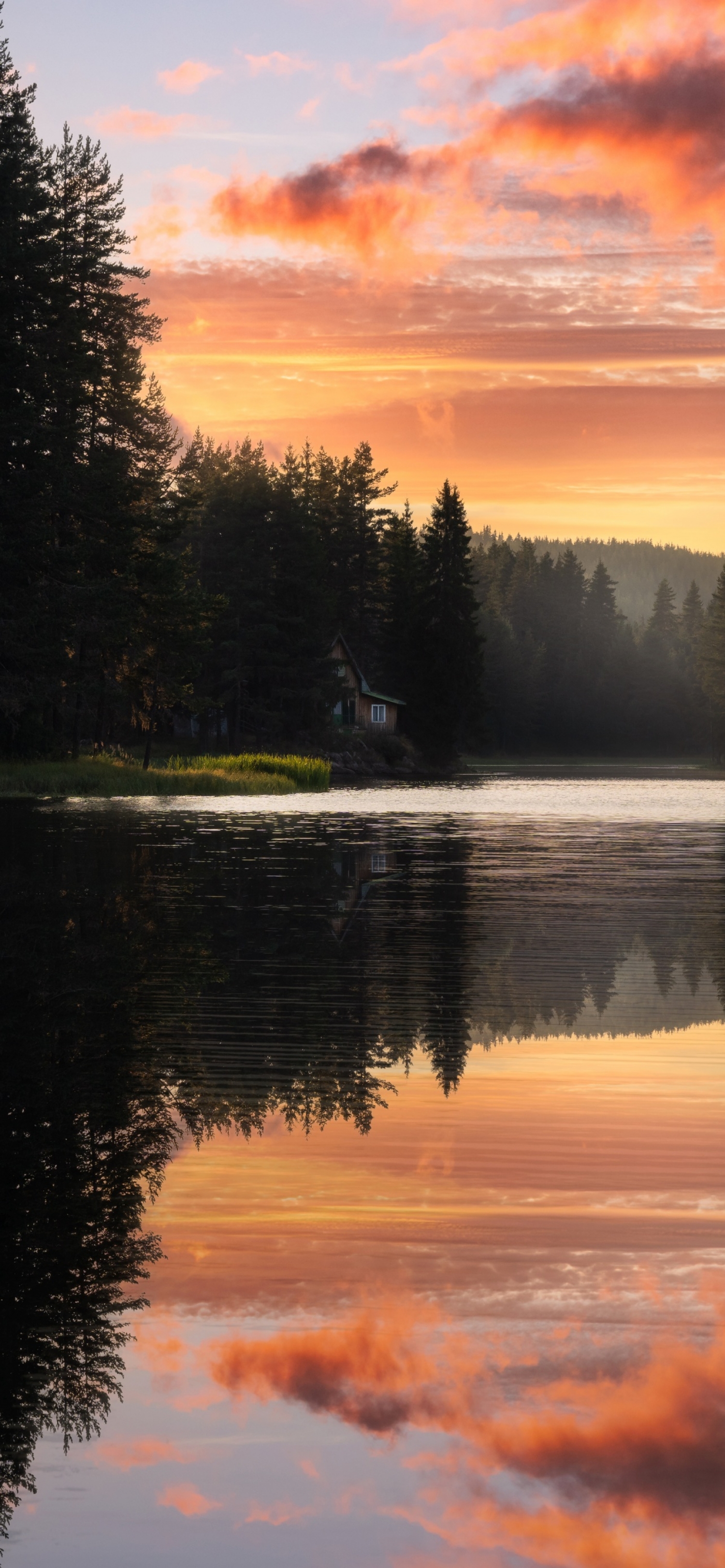 1500x3245 Most Popular Peace Wallpaper