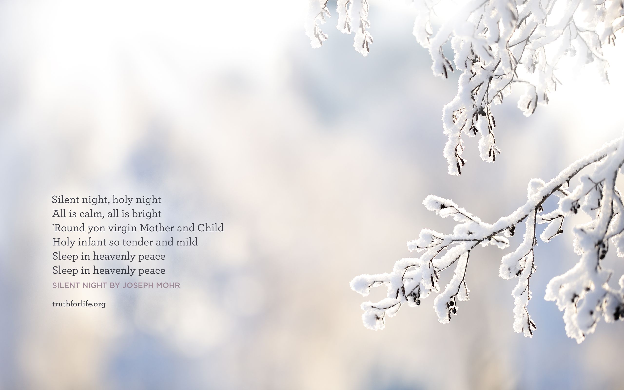 2560x1600 Calm: Wallpaper