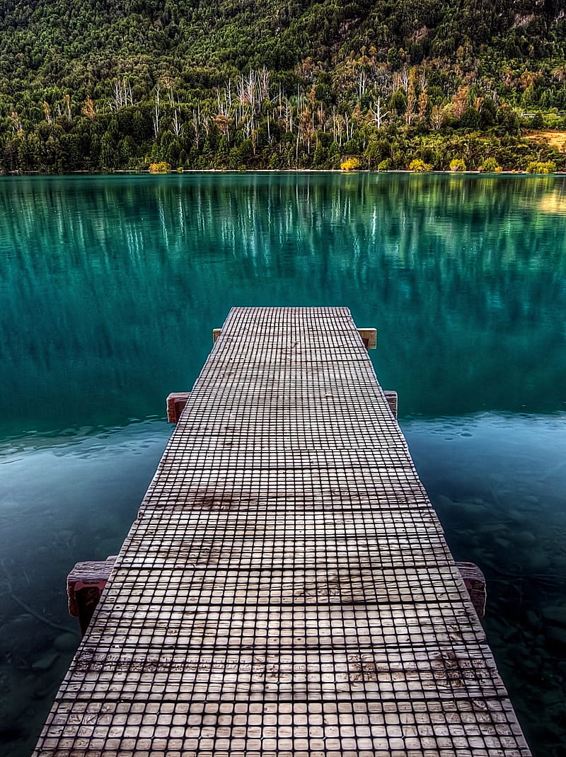 800x1070 Peaceful Lake, bonito, blue, forest, harmony, nature, nice, peace, water, HD phone wallpaper