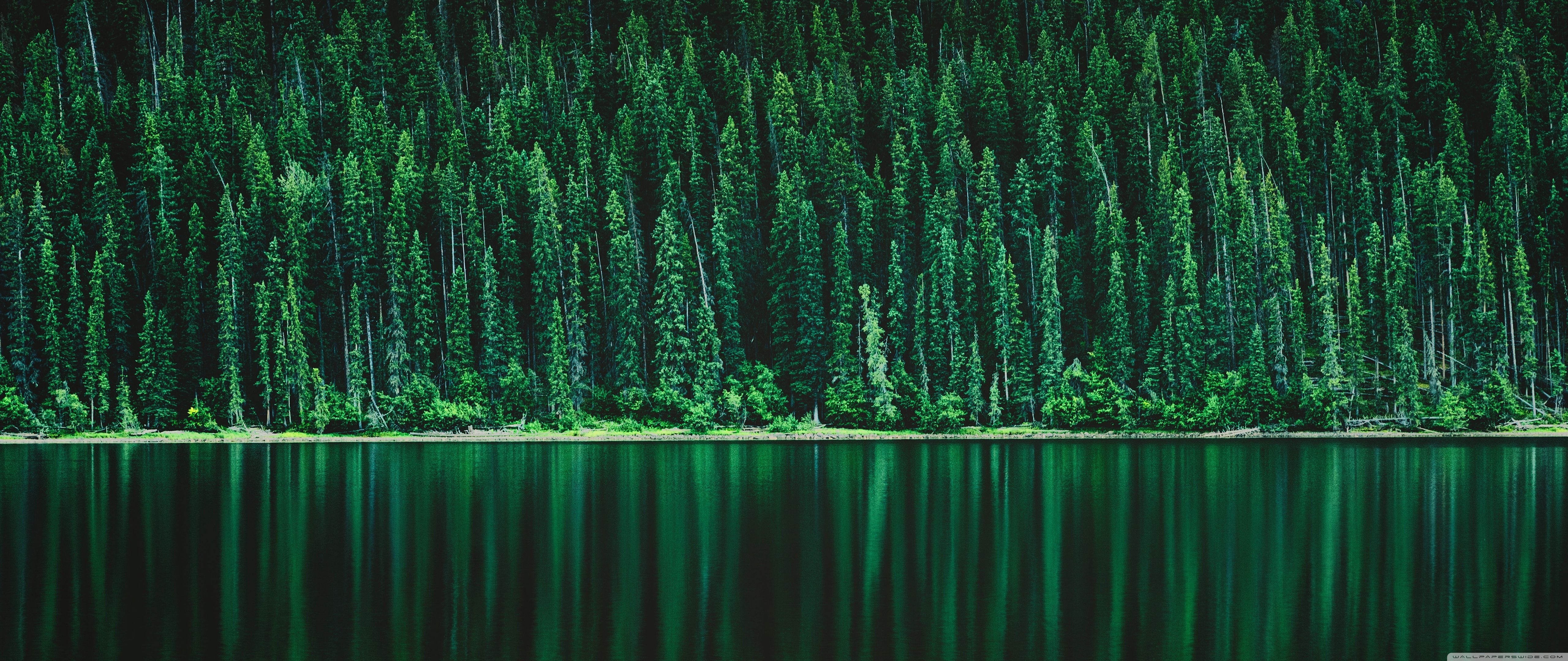 5120x2160 4k Ultrawide Green Wallpaper