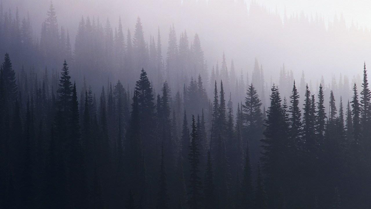 1280x720 Tumblr Grunge Desktop Wallpaper