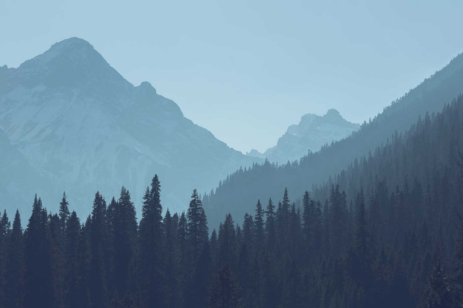 1600x1066 The Lost Knight