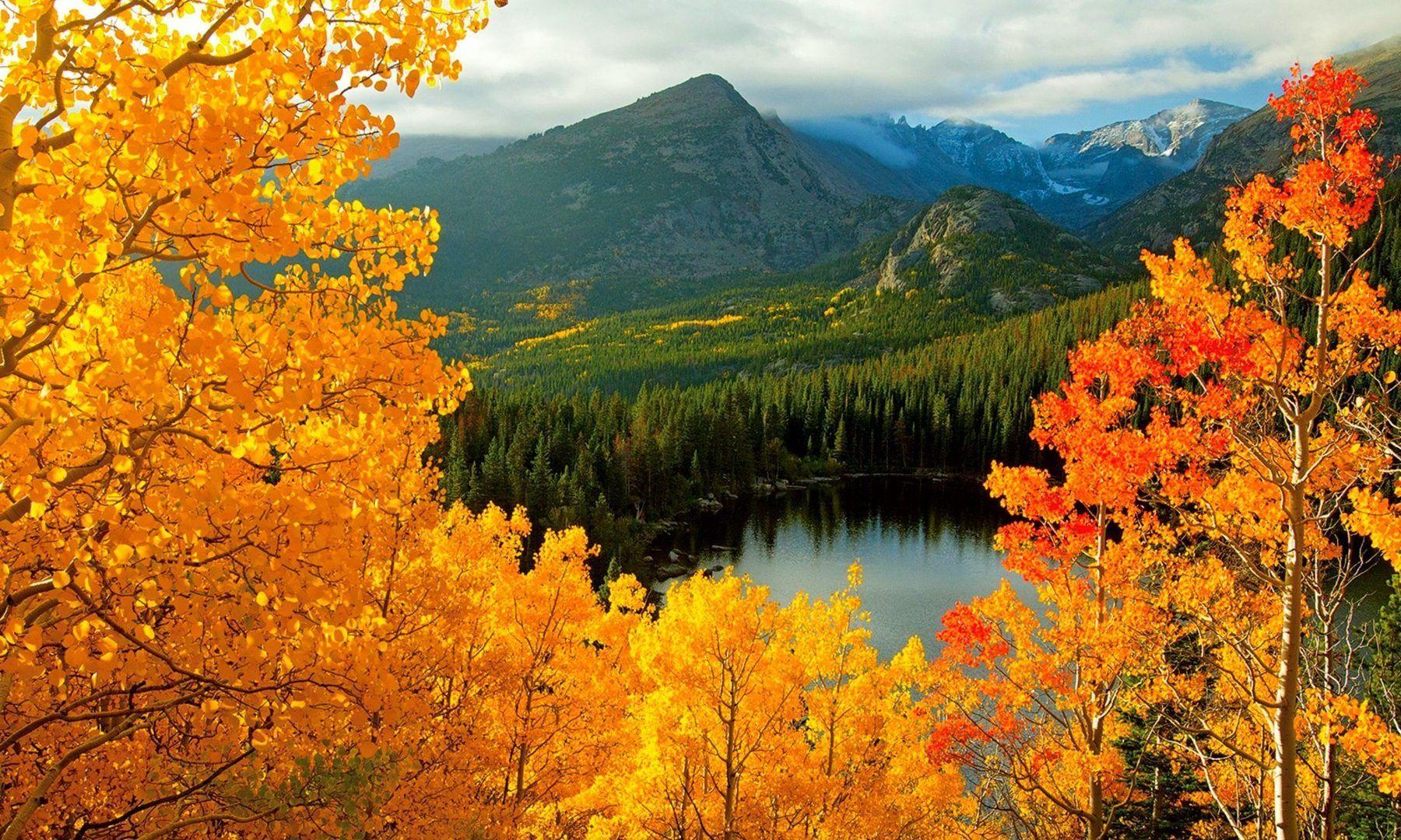 Rocky Mountain Fall Wallpapers - Top Free Rocky Mountain Fall ...