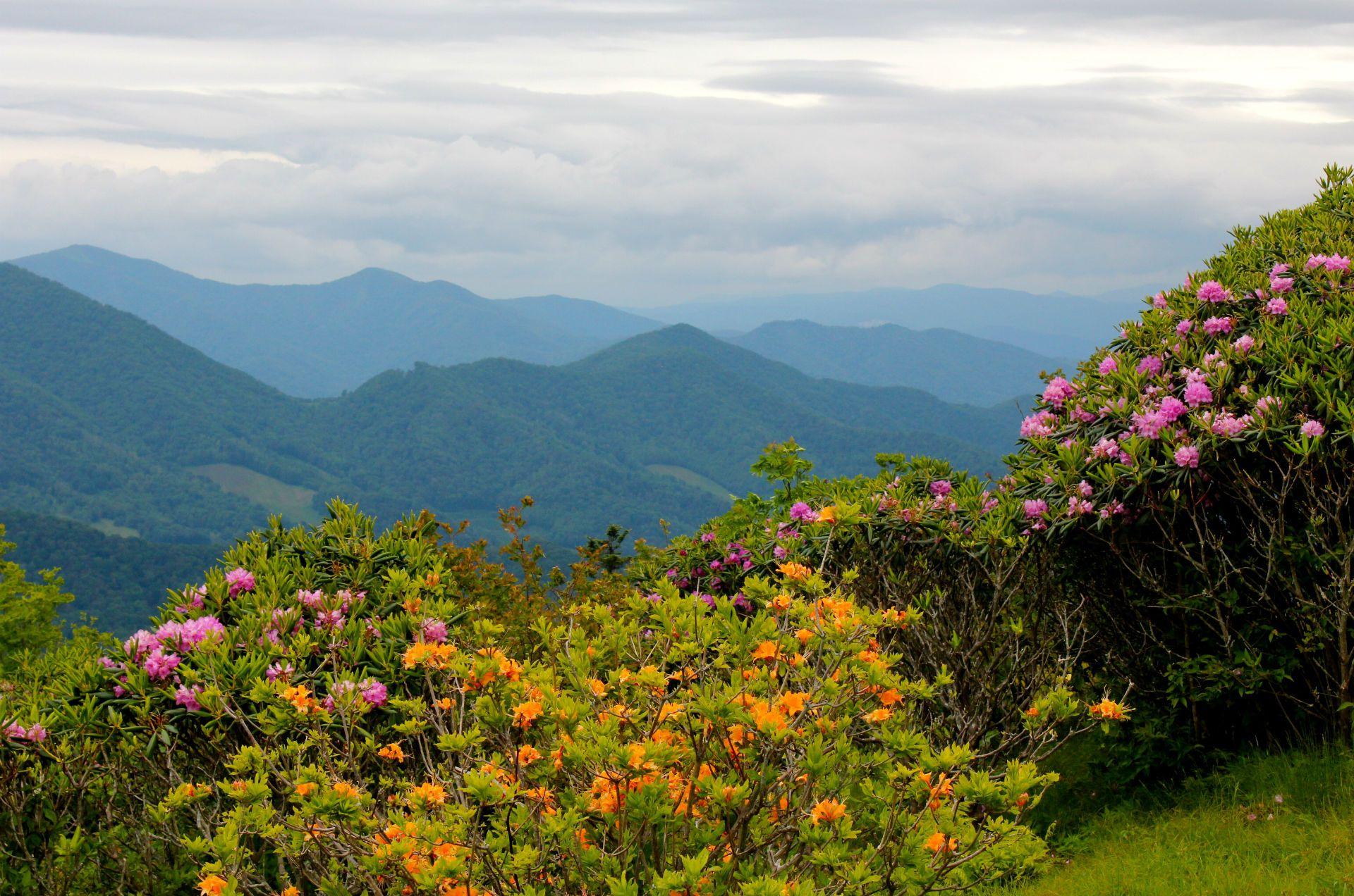 1920x1272 North Carolina Mountains Wallpaper